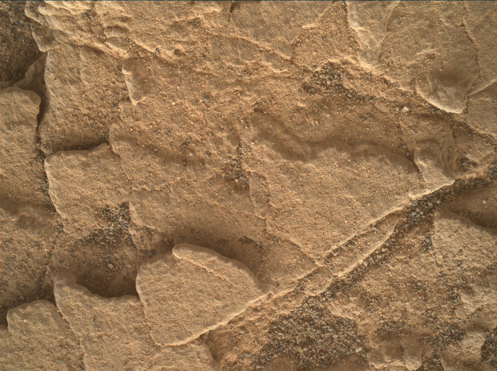 Nasa's Mars rover Curiosity acquired this image using its Mars Hand Lens Imager (MAHLI) on Sol 2459