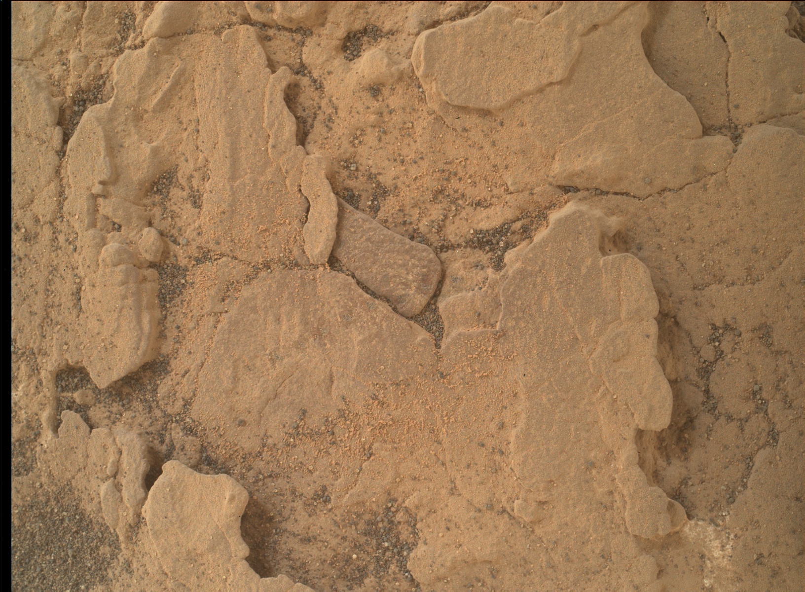 Nasa's Mars rover Curiosity acquired this image using its Mars Hand Lens Imager (MAHLI) on Sol 2461