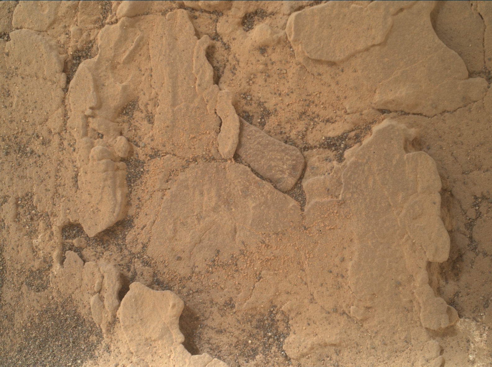 Nasa's Mars rover Curiosity acquired this image using its Mars Hand Lens Imager (MAHLI) on Sol 2461