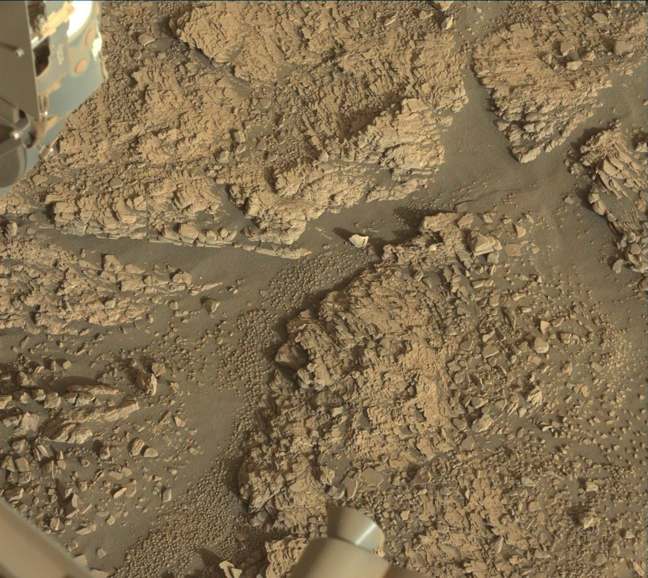 Nasa's Mars rover Curiosity acquired this image using its Mast Camera (Mastcam) on Sol 2463