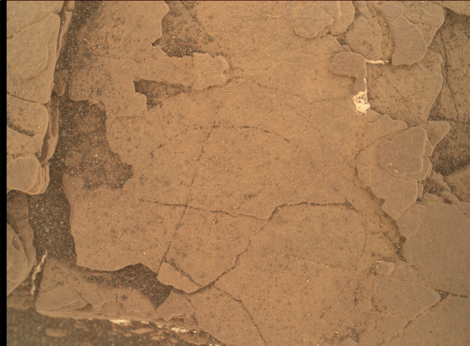 Nasa's Mars rover Curiosity acquired this image using its Mars Hand Lens Imager (MAHLI) on Sol 2463