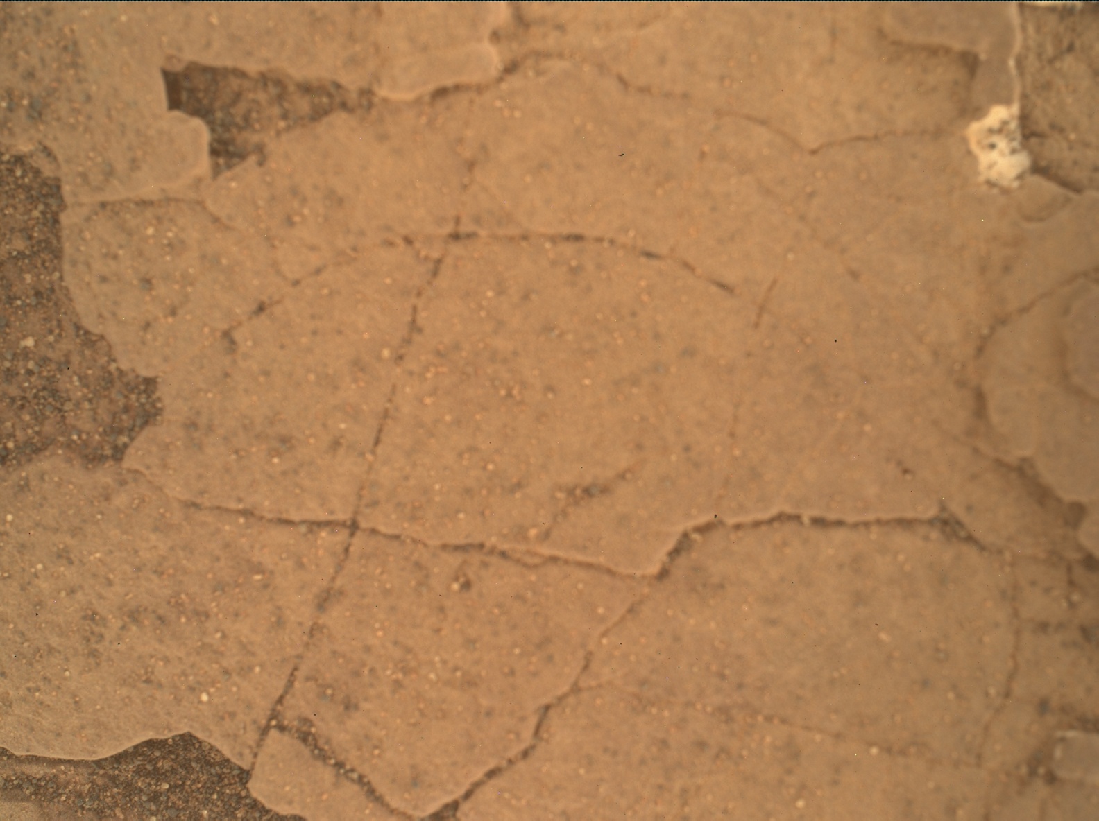 Nasa's Mars rover Curiosity acquired this image using its Mars Hand Lens Imager (MAHLI) on Sol 2463