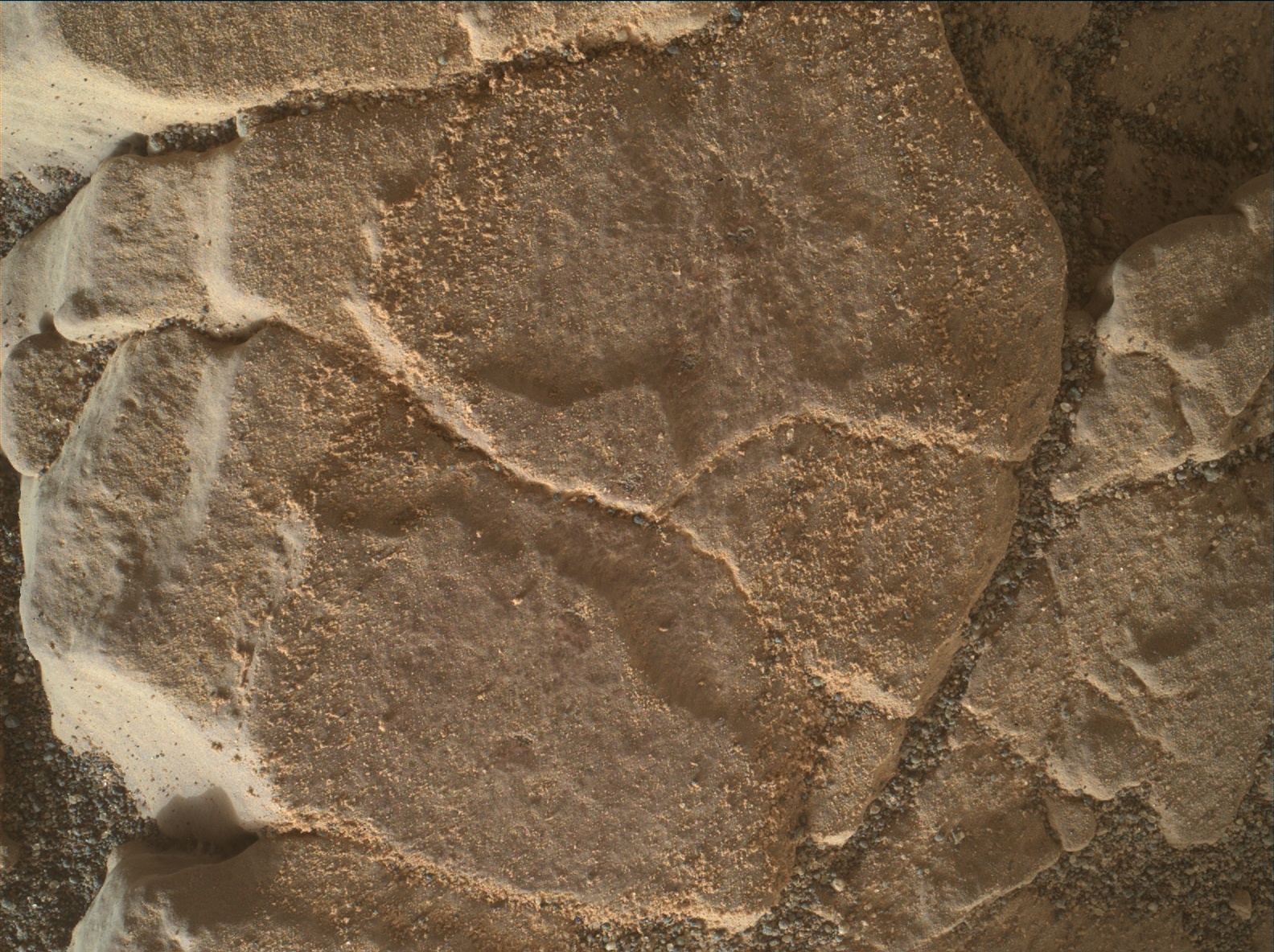Nasa's Mars rover Curiosity acquired this image using its Mars Hand Lens Imager (MAHLI) on Sol 2466
