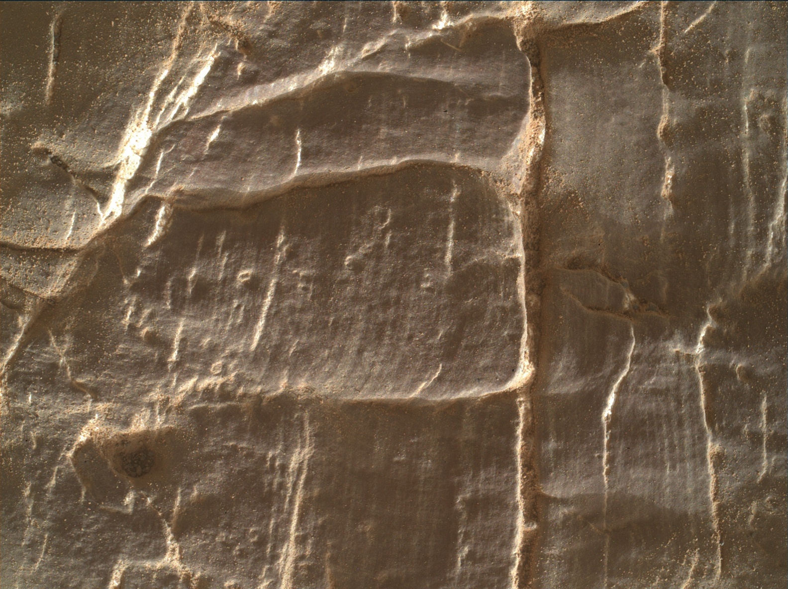 Nasa's Mars rover Curiosity acquired this image using its Mars Hand Lens Imager (MAHLI) on Sol 2473