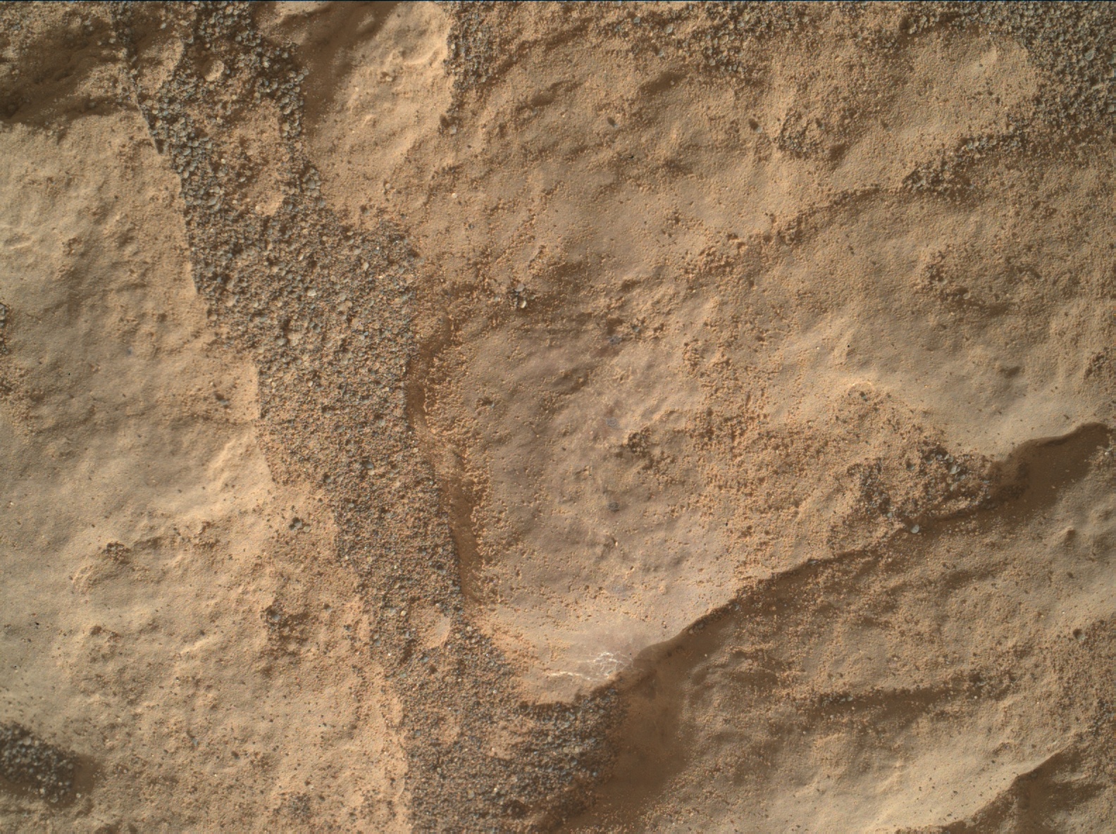 Nasa's Mars rover Curiosity acquired this image using its Mars Hand Lens Imager (MAHLI) on Sol 2474