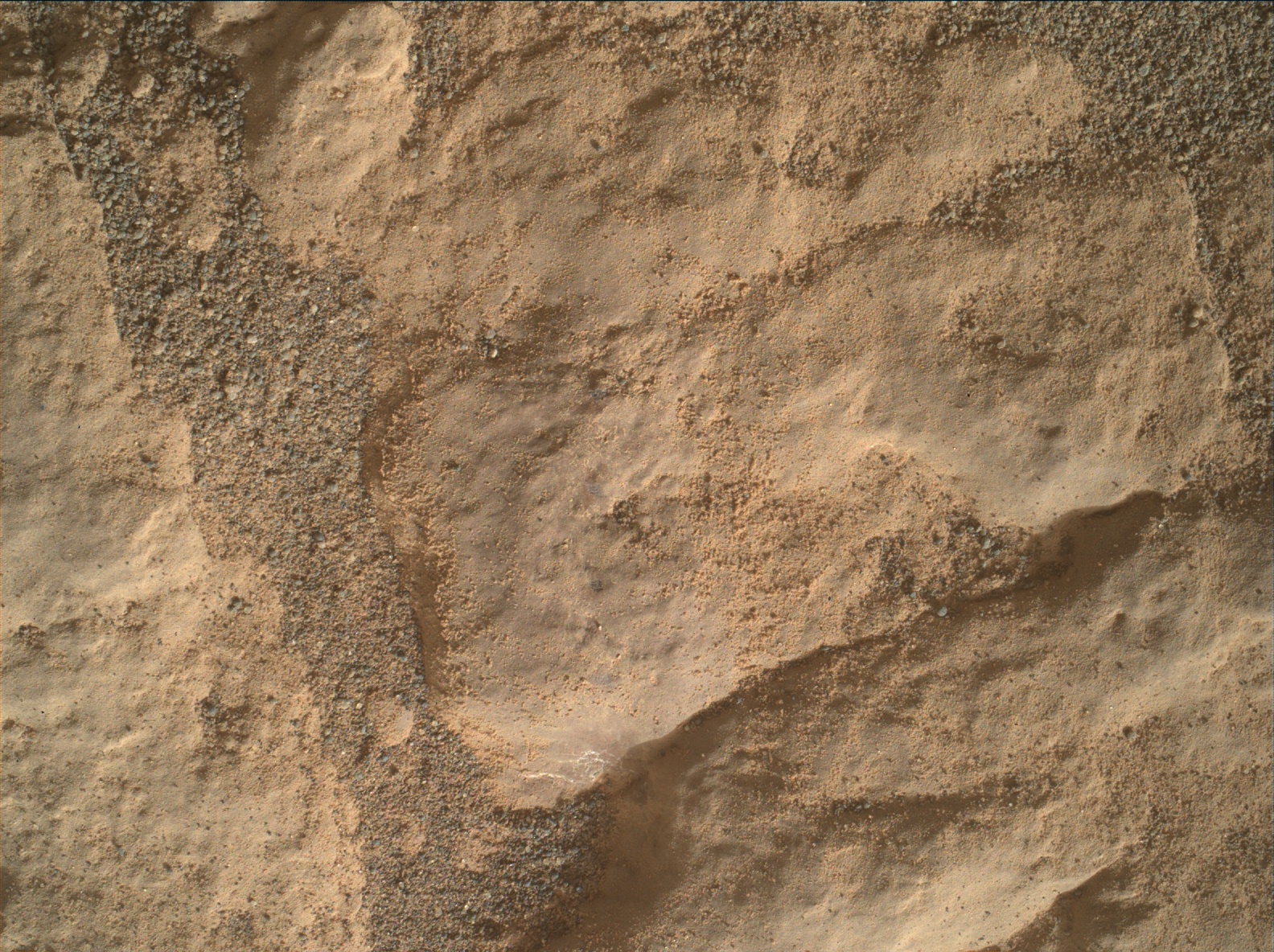 Nasa's Mars rover Curiosity acquired this image using its Mars Hand Lens Imager (MAHLI) on Sol 2475