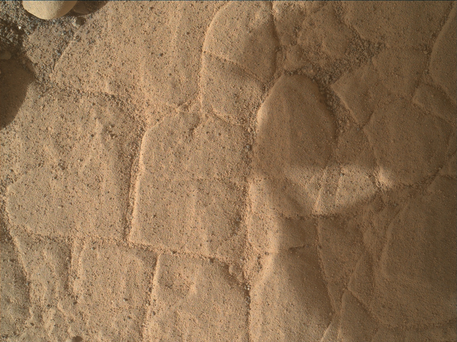 Nasa's Mars rover Curiosity acquired this image using its Mars Hand Lens Imager (MAHLI) on Sol 2480