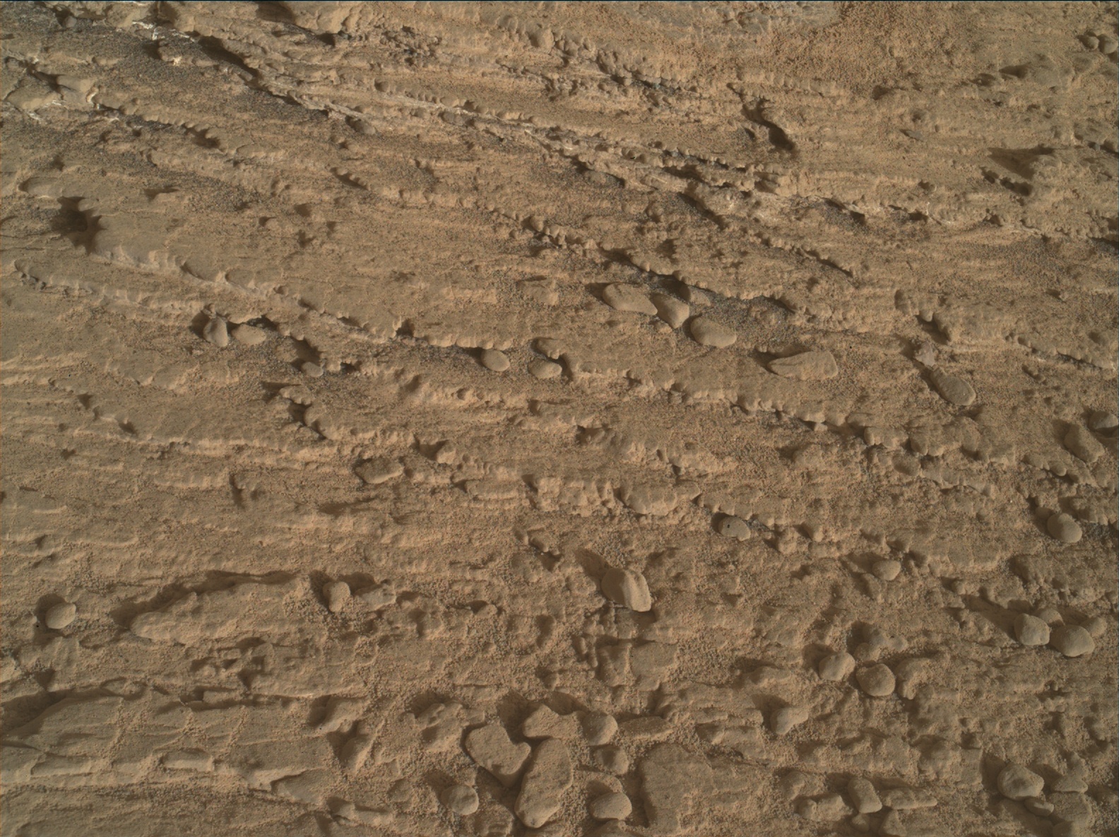 Nasa's Mars rover Curiosity acquired this image using its Mars Hand Lens Imager (MAHLI) on Sol 2484