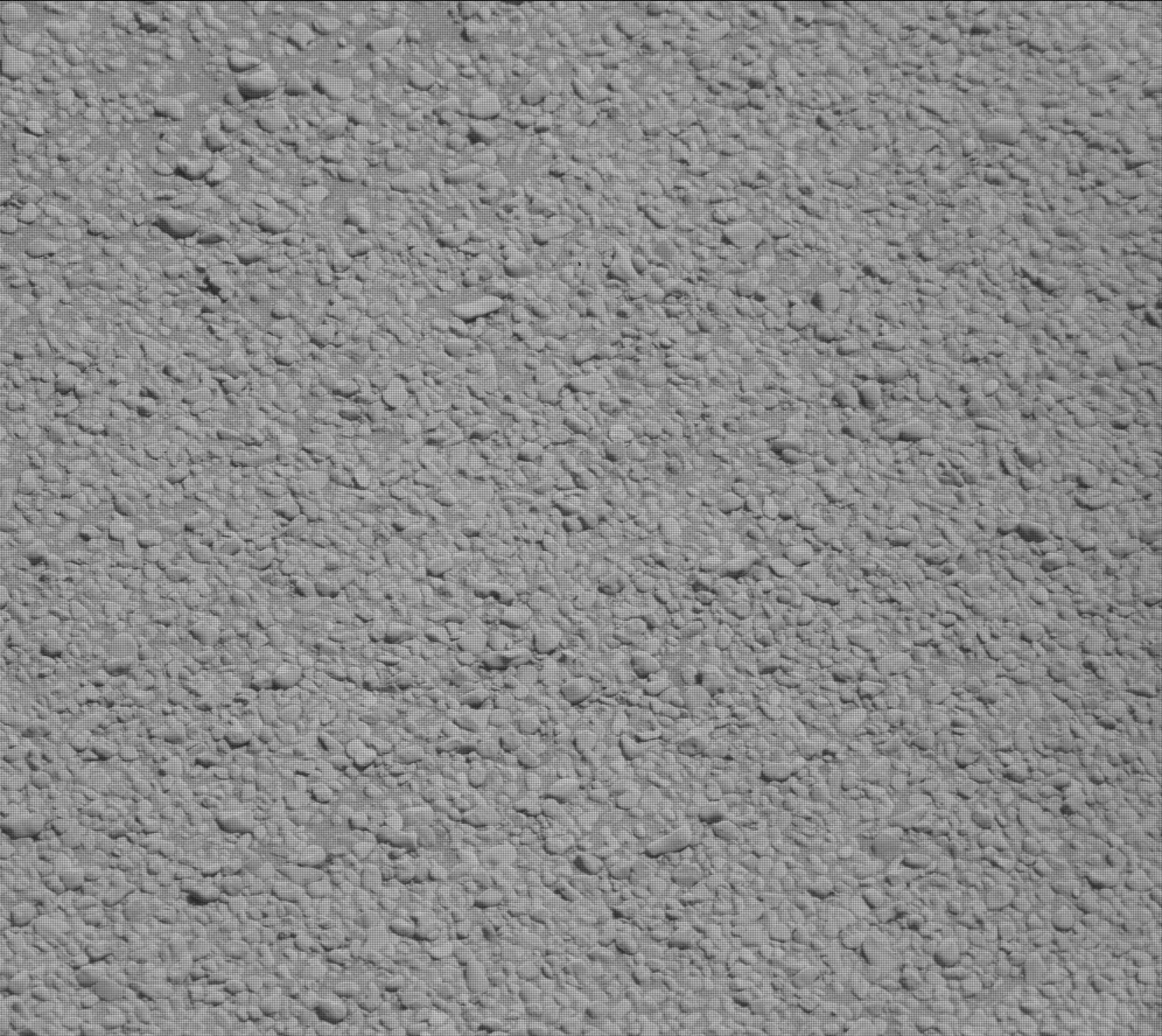Nasa's Mars rover Curiosity acquired this image using its Mast Camera (Mastcam) on Sol 2557