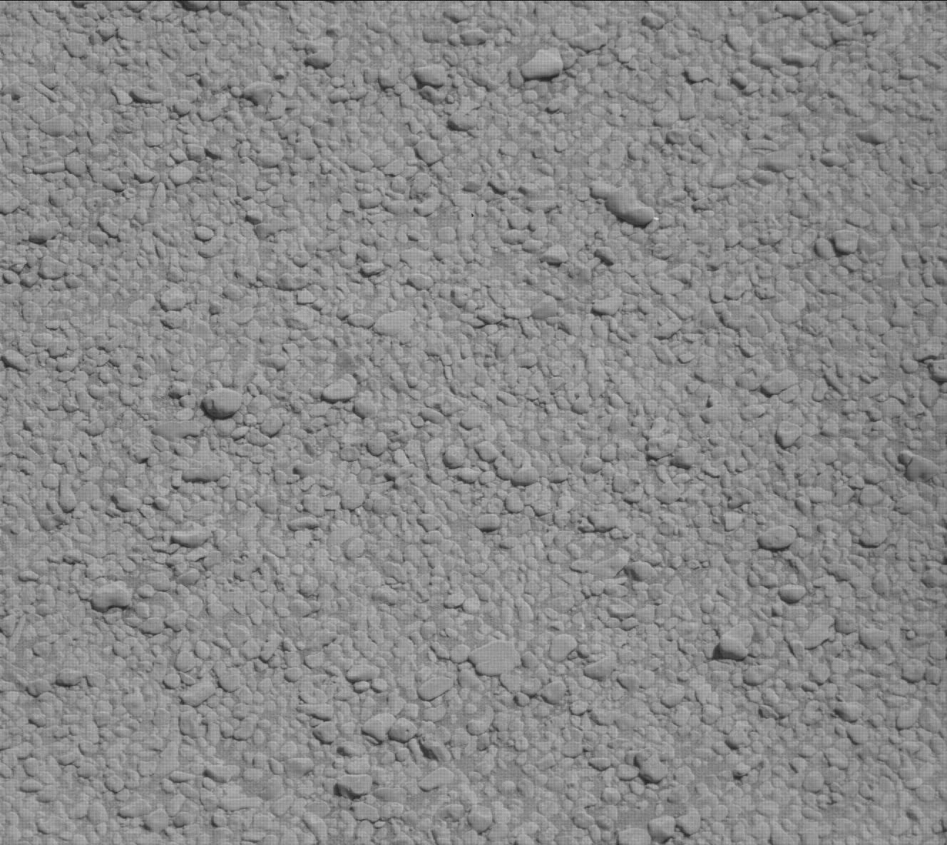 Nasa's Mars rover Curiosity acquired this image using its Mast Camera (Mastcam) on Sol 2557