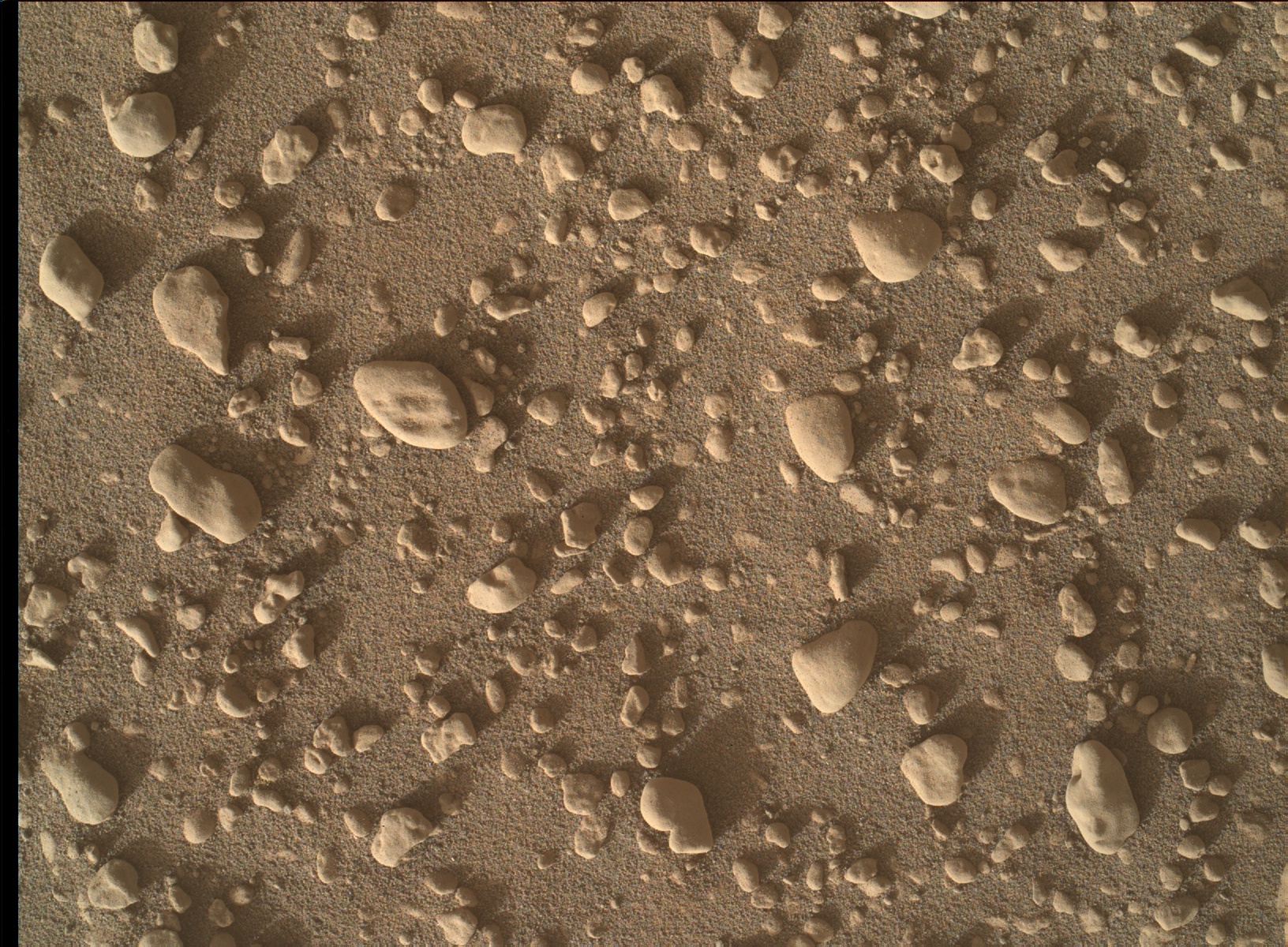 Nasa's Mars rover Curiosity acquired this image using its Mars Hand Lens Imager (MAHLI) on Sol 2558