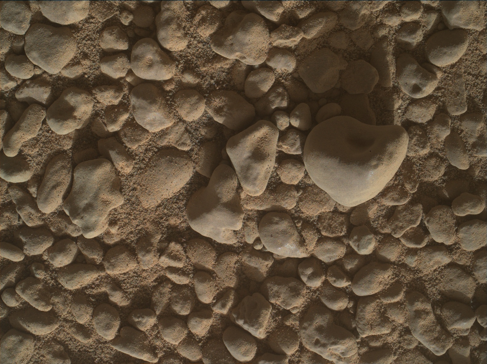 Nasa's Mars rover Curiosity acquired this image using its Mars Hand Lens Imager (MAHLI) on Sol 2559