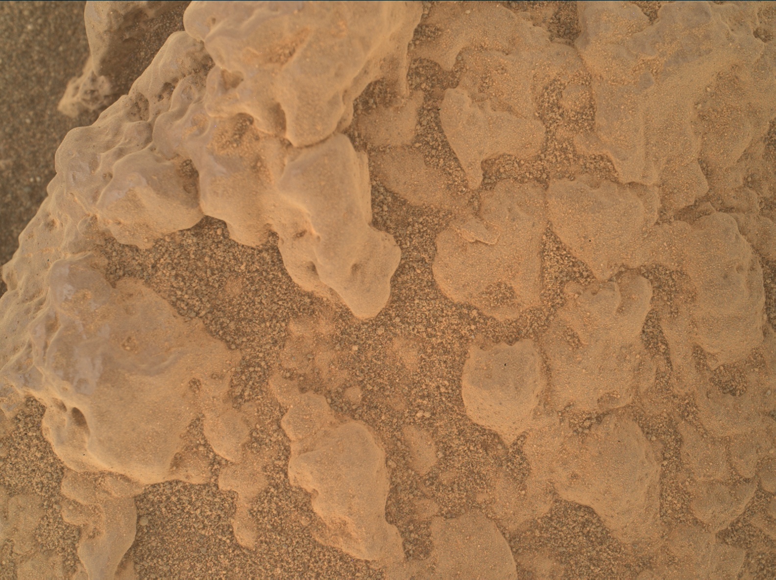 Nasa's Mars rover Curiosity acquired this image using its Mars Hand Lens Imager (MAHLI) on Sol 2563