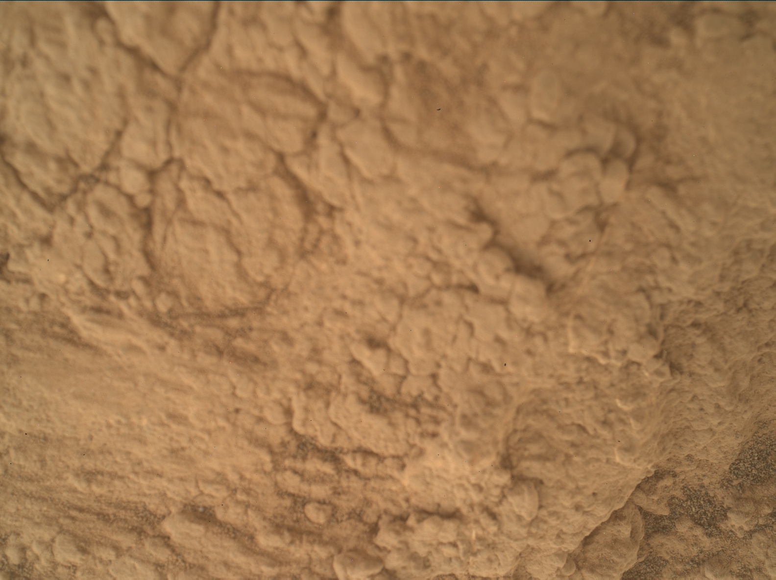 Nasa's Mars rover Curiosity acquired this image using its Mars Hand Lens Imager (MAHLI) on Sol 2567