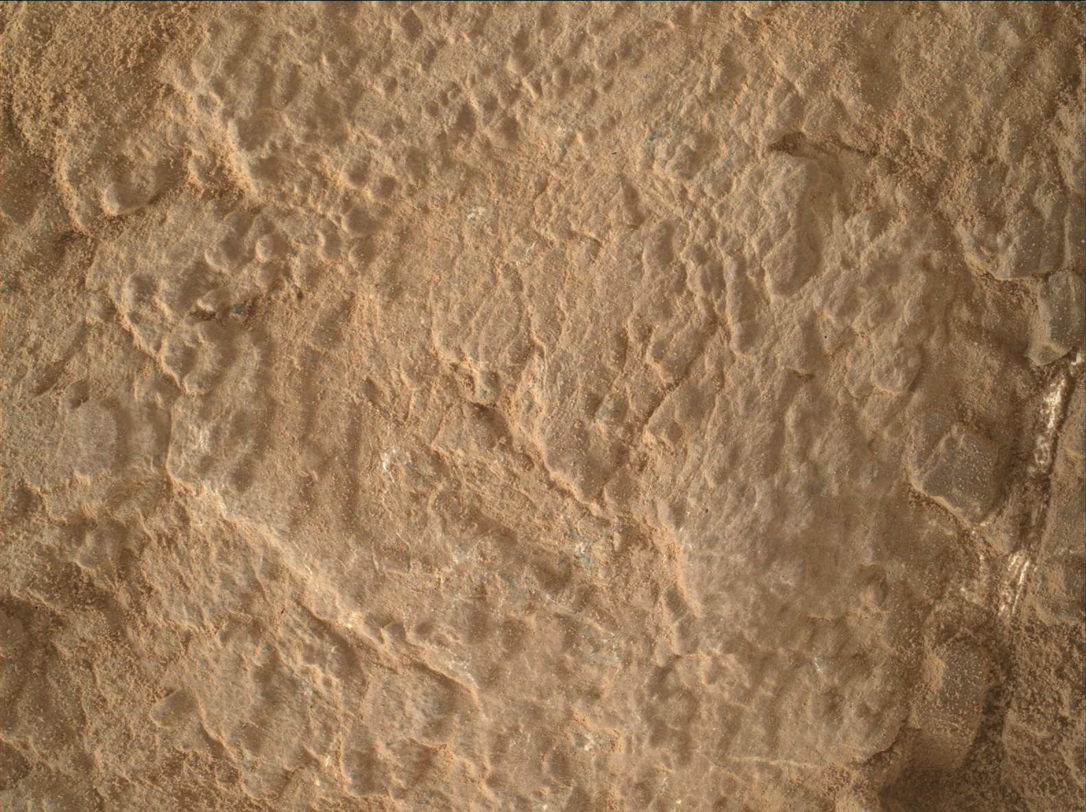 Nasa's Mars rover Curiosity acquired this image using its Mars Hand Lens Imager (MAHLI) on Sol 2568