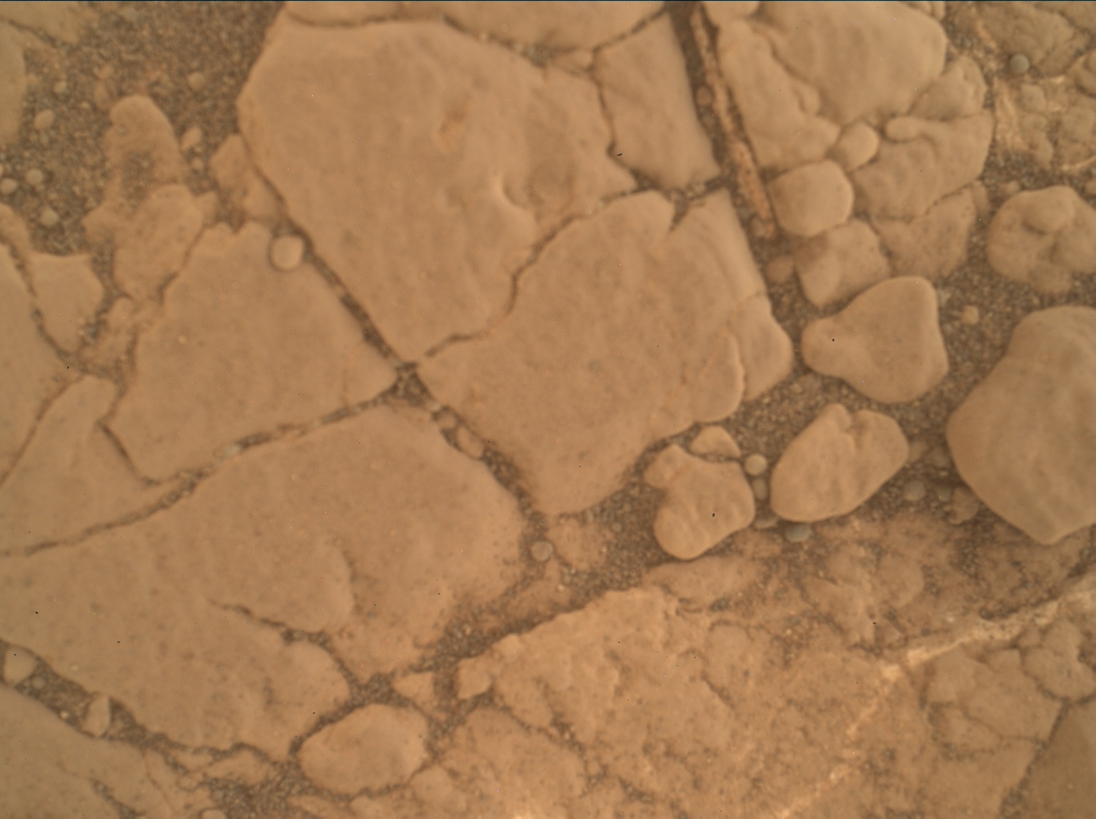 Nasa's Mars rover Curiosity acquired this image using its Mars Hand Lens Imager (MAHLI) on Sol 2577