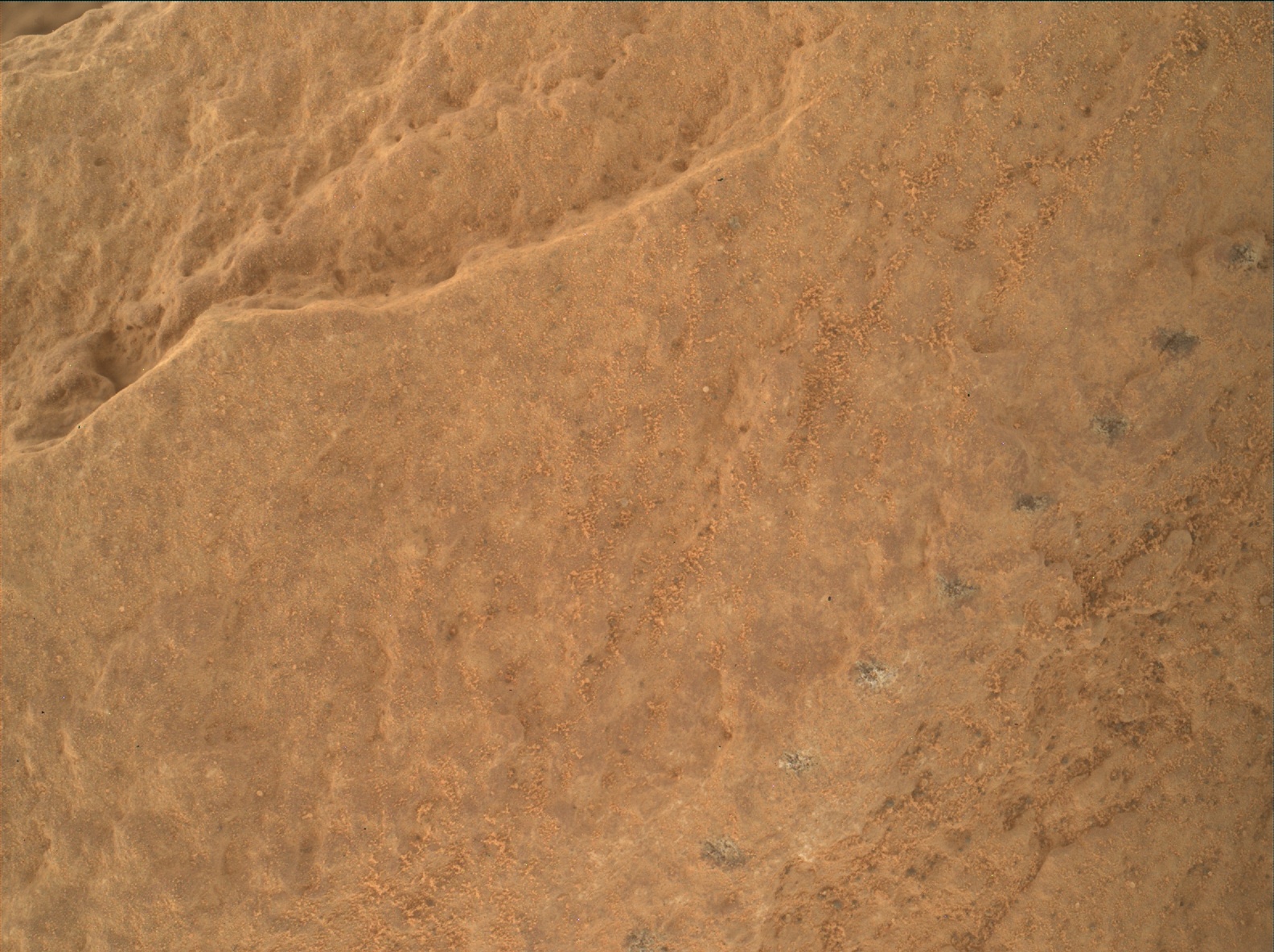Nasa's Mars rover Curiosity acquired this image using its Mars Hand Lens Imager (MAHLI) on Sol 2579