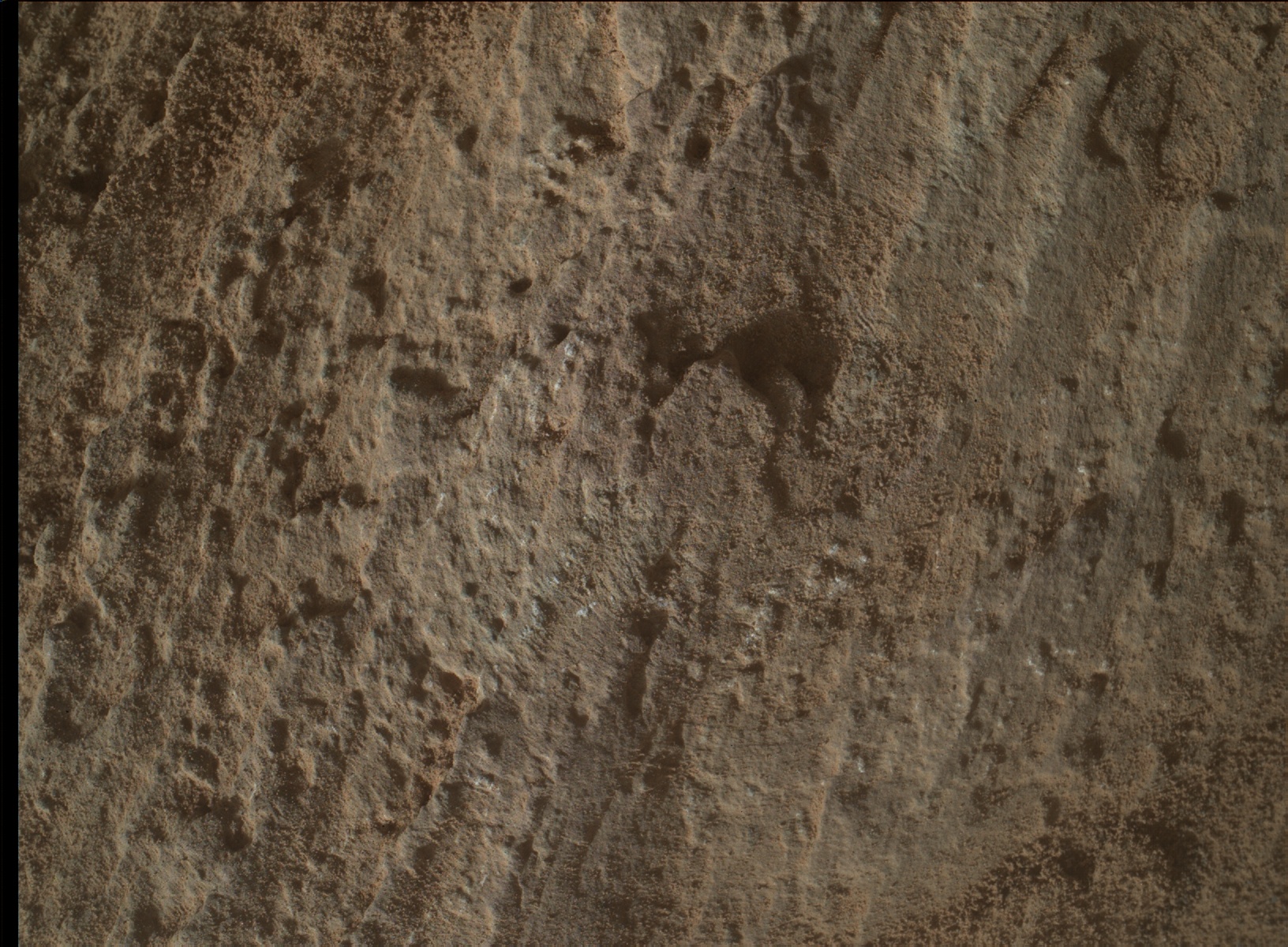 Nasa's Mars rover Curiosity acquired this image using its Mars Hand Lens Imager (MAHLI) on Sol 2581
