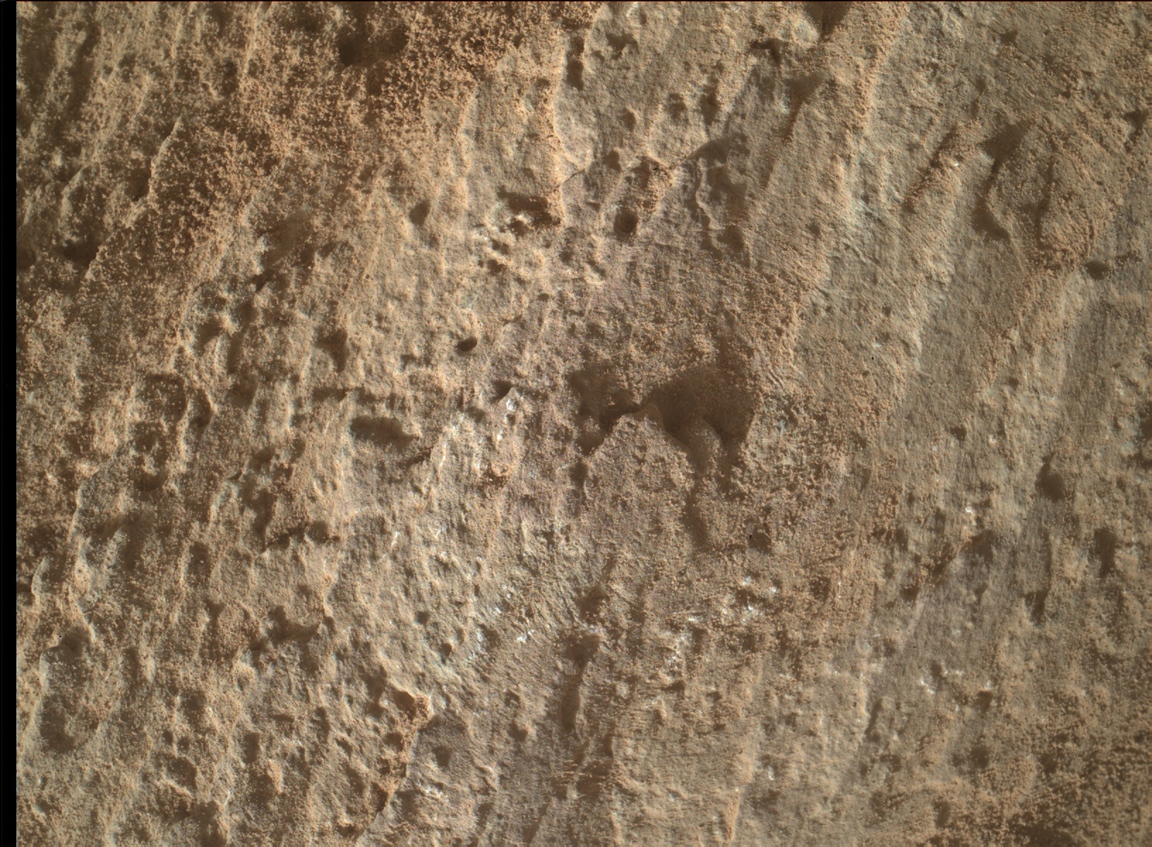 Nasa's Mars rover Curiosity acquired this image using its Mars Hand Lens Imager (MAHLI) on Sol 2581