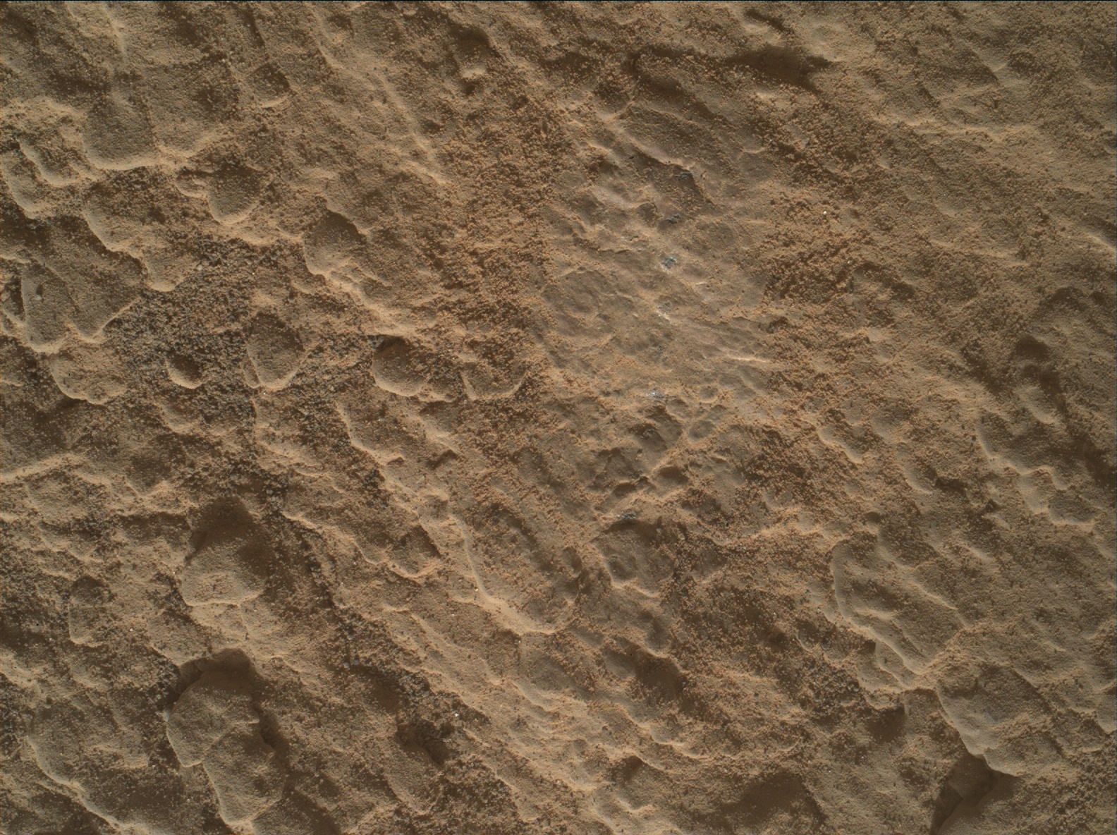 Nasa's Mars rover Curiosity acquired this image using its Mars Hand Lens Imager (MAHLI) on Sol 2589