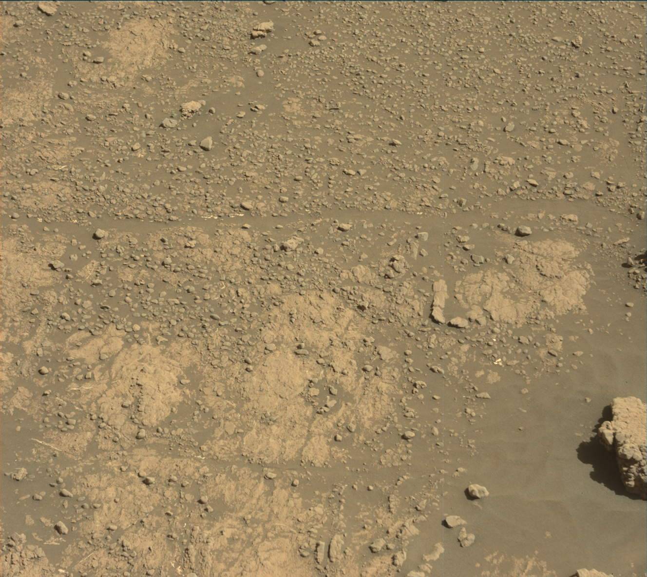 Nasa's Mars rover Curiosity acquired this image using its Mast Camera (Mastcam) on Sol 2590