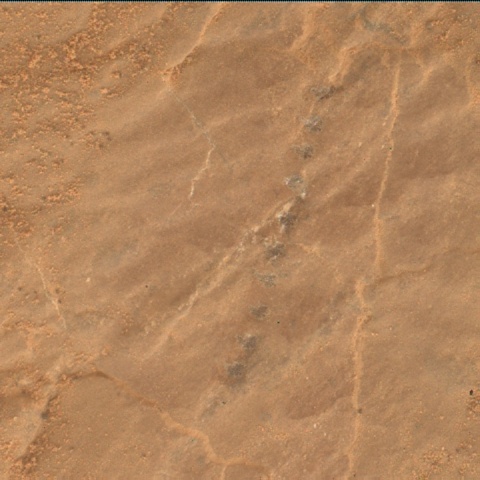 Nasa's Mars rover Curiosity acquired this image using its Mars Hand Lens Imager (MAHLI) on Sol 2590
