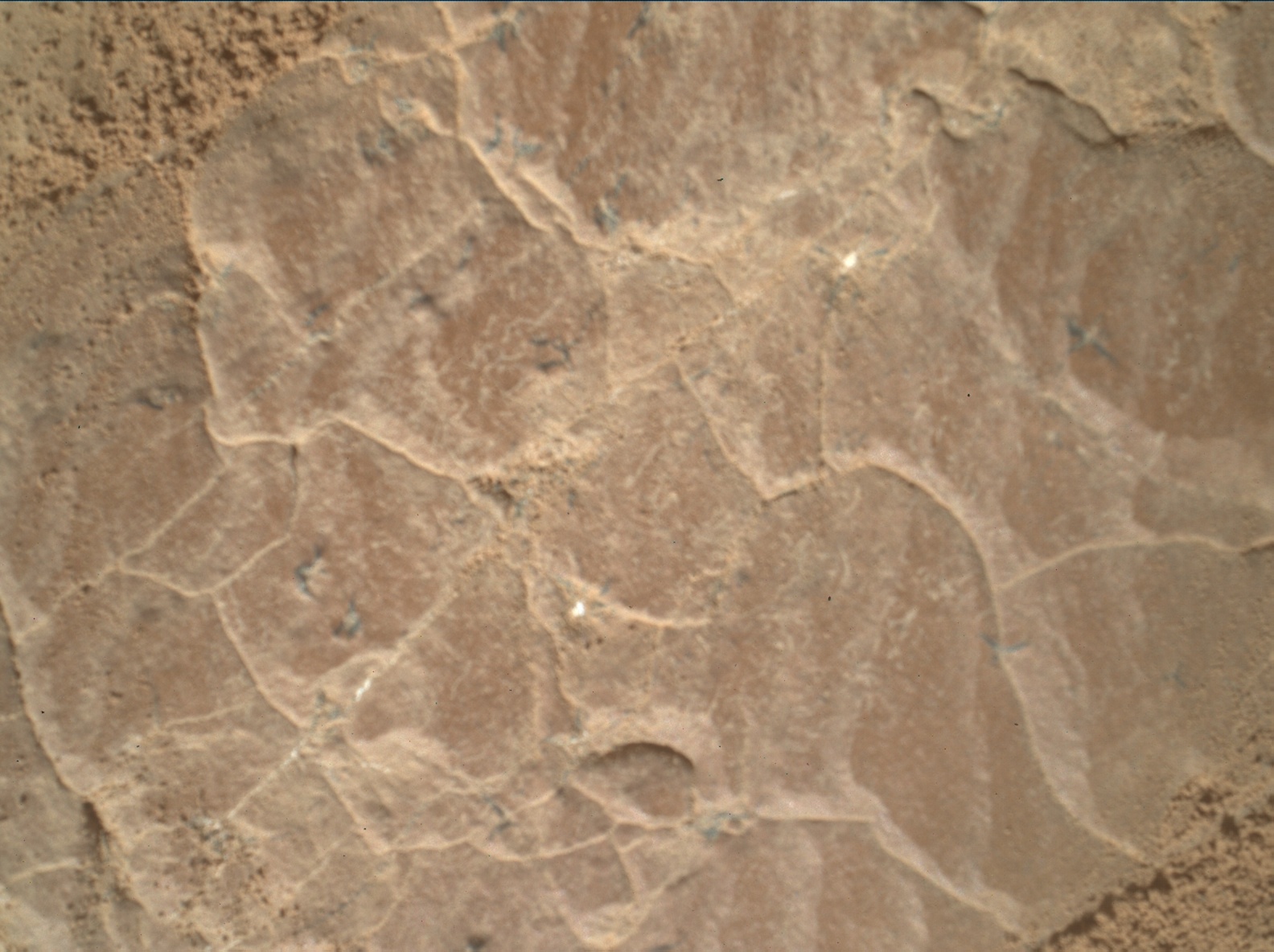 Nasa's Mars rover Curiosity acquired this image using its Mars Hand Lens Imager (MAHLI) on Sol 2597
