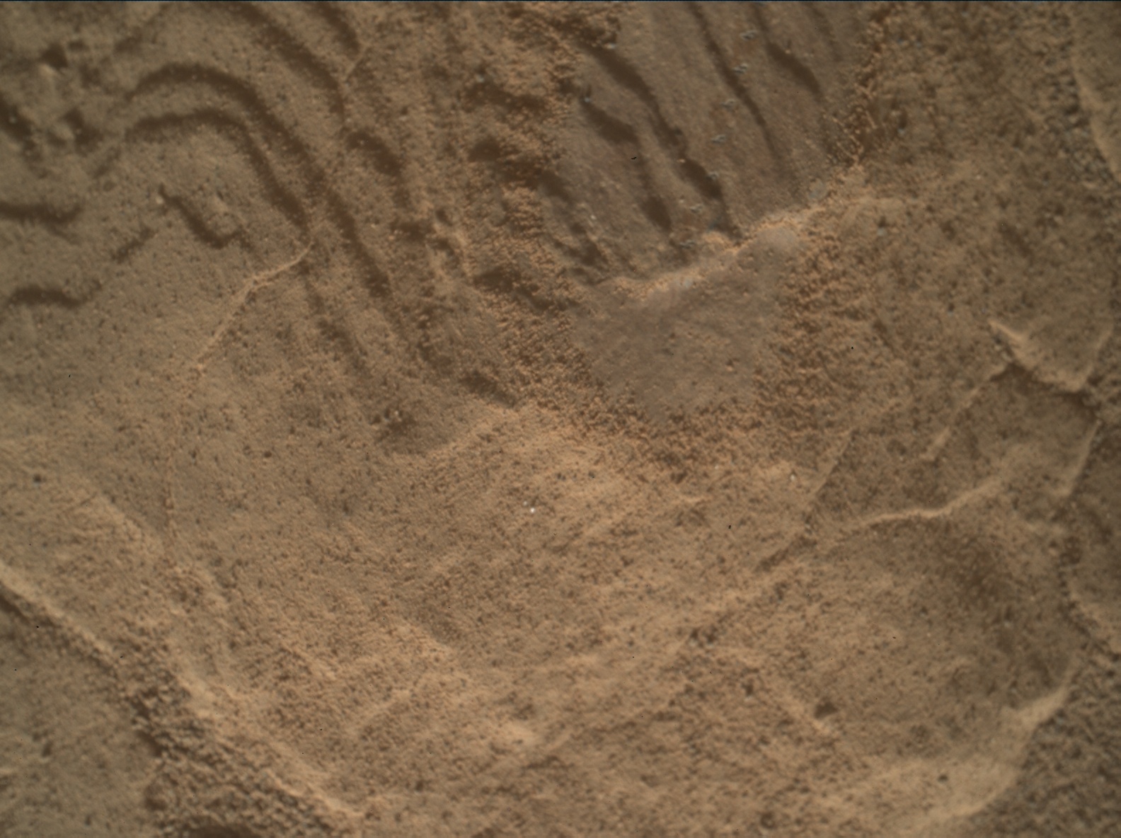 Nasa's Mars rover Curiosity acquired this image using its Mars Hand Lens Imager (MAHLI) on Sol 2601