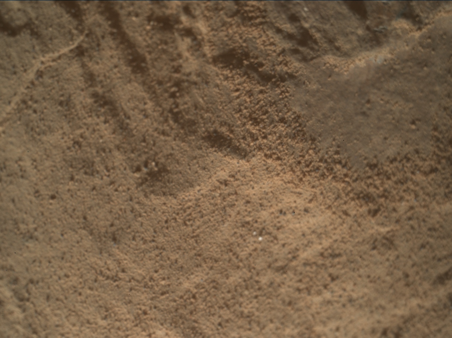 Nasa's Mars rover Curiosity acquired this image using its Mars Hand Lens Imager (MAHLI) on Sol 2601