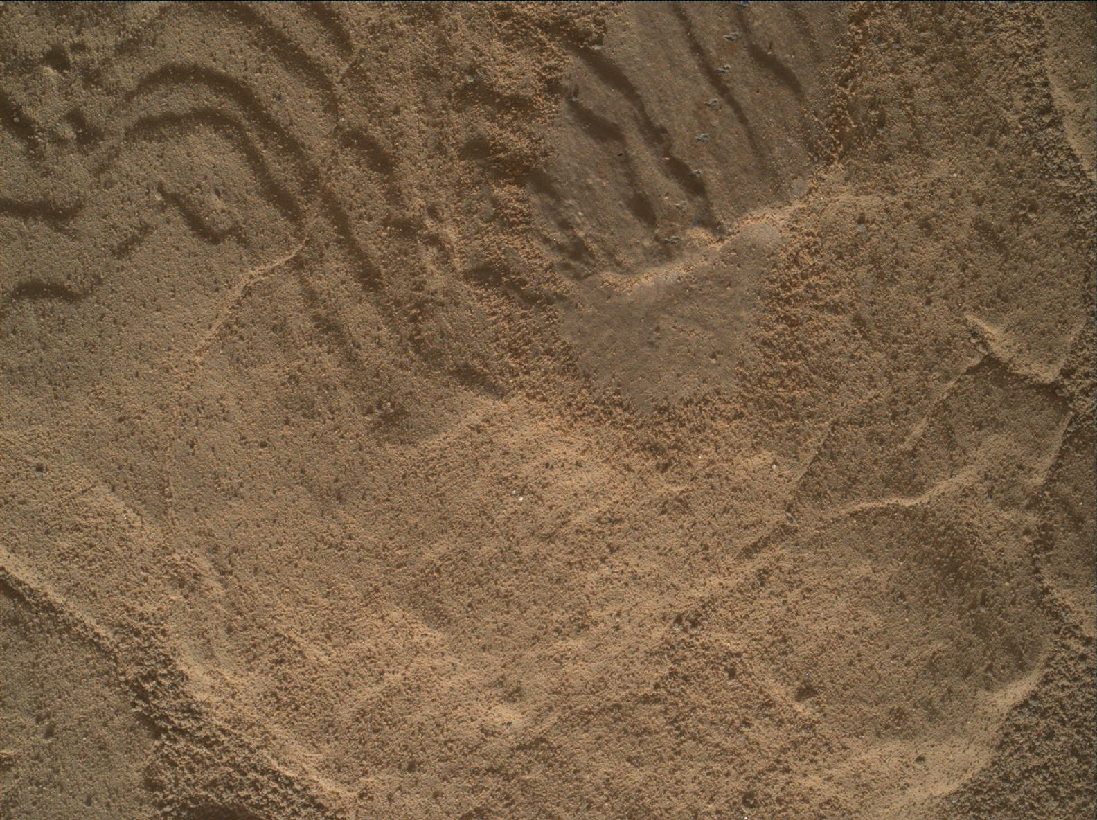Nasa's Mars rover Curiosity acquired this image using its Mars Hand Lens Imager (MAHLI) on Sol 2602