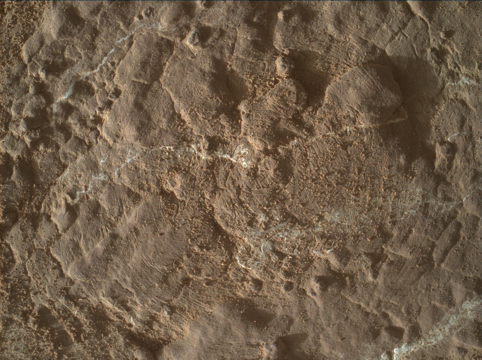 Nasa's Mars rover Curiosity acquired this image using its Mars Hand Lens Imager (MAHLI) on Sol 2609