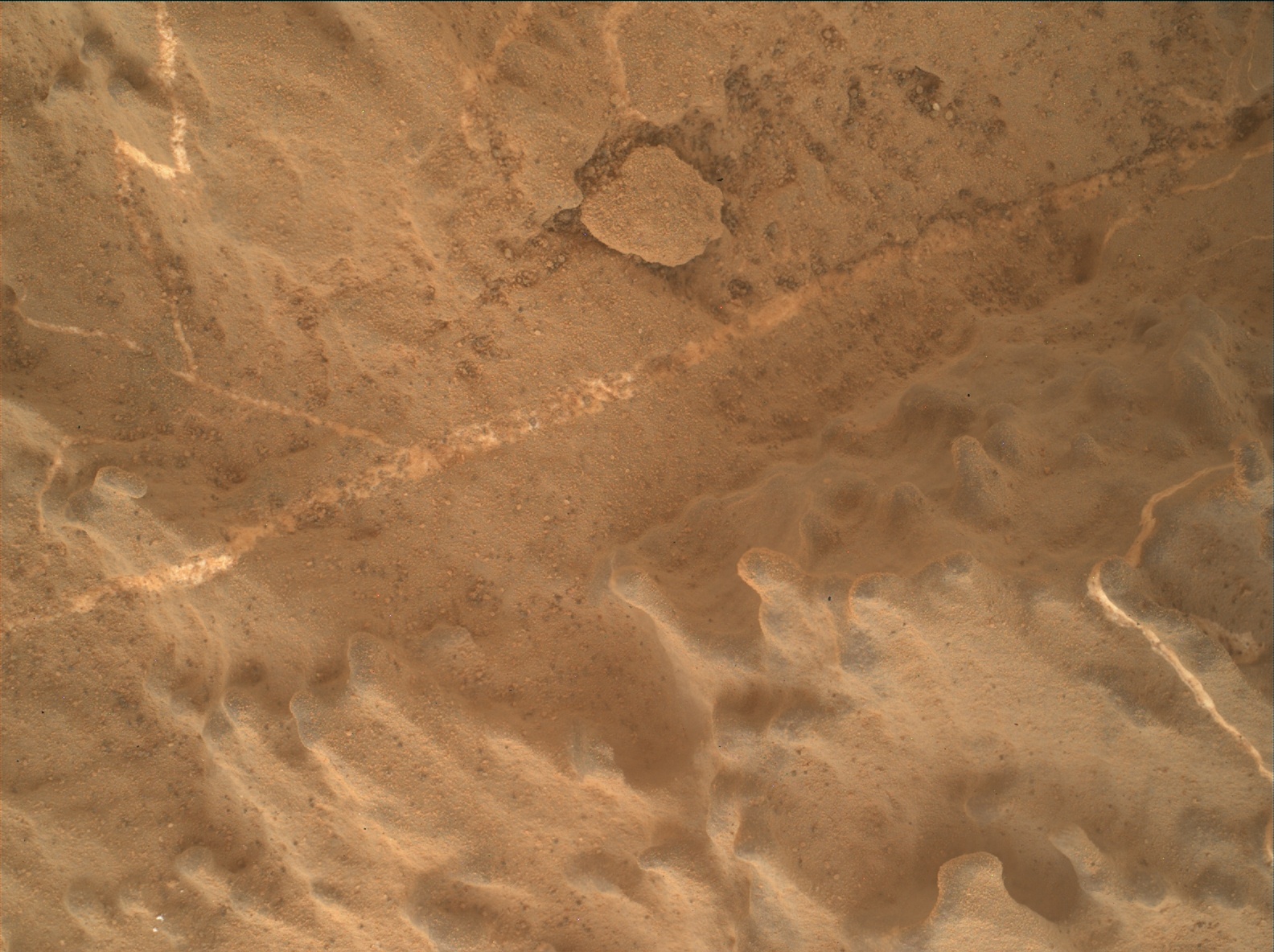 Nasa's Mars rover Curiosity acquired this image using its Mars Hand Lens Imager (MAHLI) on Sol 2613