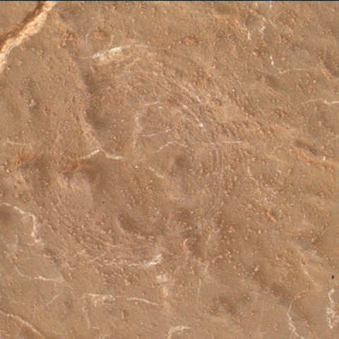 Nasa's Mars rover Curiosity acquired this image using its Mars Hand Lens Imager (MAHLI) on Sol 2631