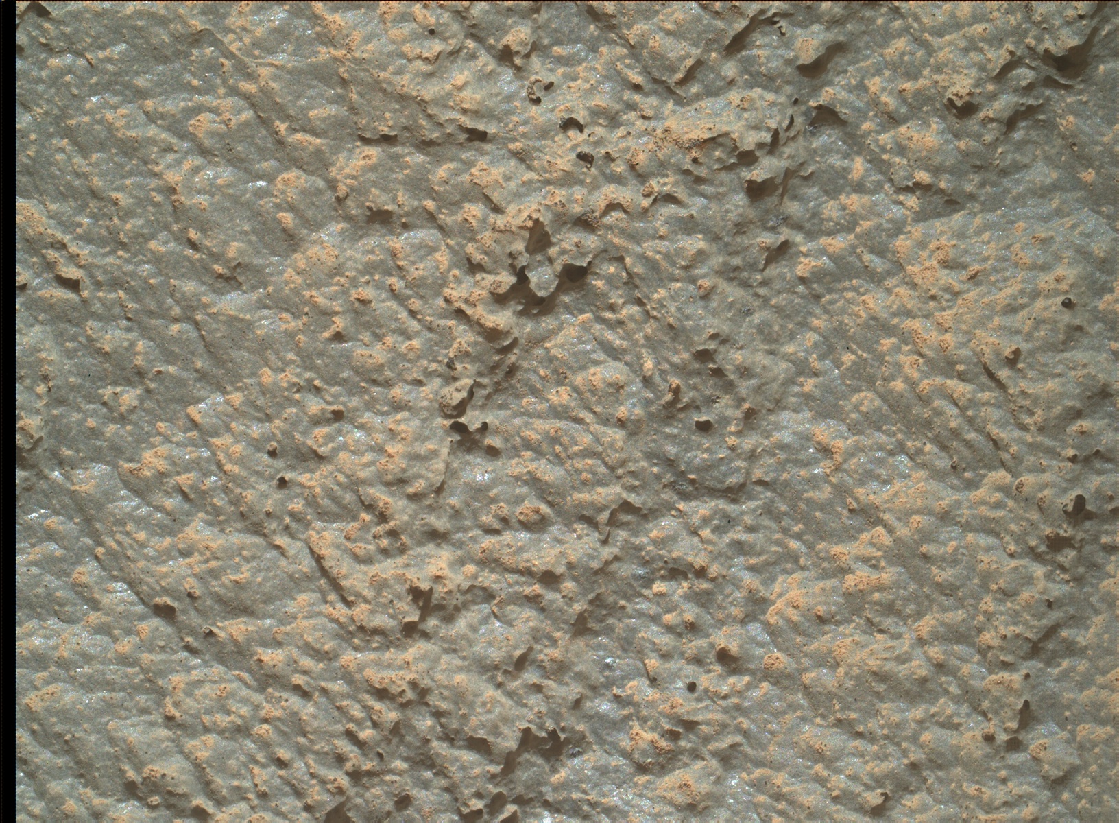 Nasa's Mars rover Curiosity acquired this image using its Mars Hand Lens Imager (MAHLI) on Sol 2631