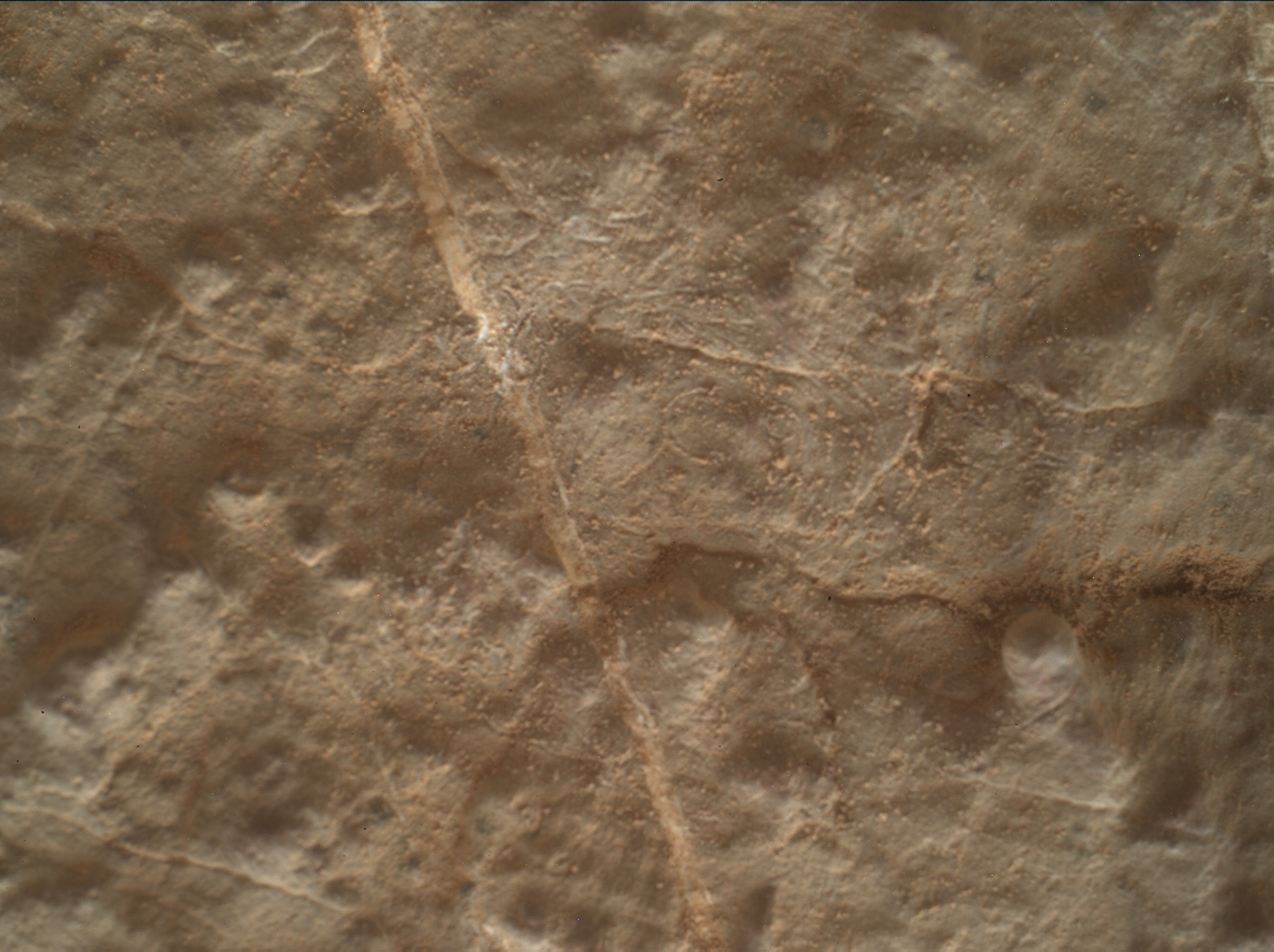 Nasa's Mars rover Curiosity acquired this image using its Mars Hand Lens Imager (MAHLI) on Sol 2653