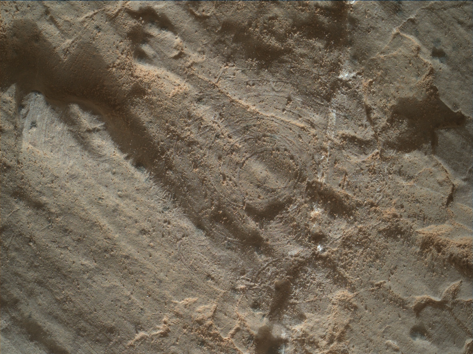 Nasa's Mars rover Curiosity acquired this image using its Mars Hand Lens Imager (MAHLI) on Sol 2657