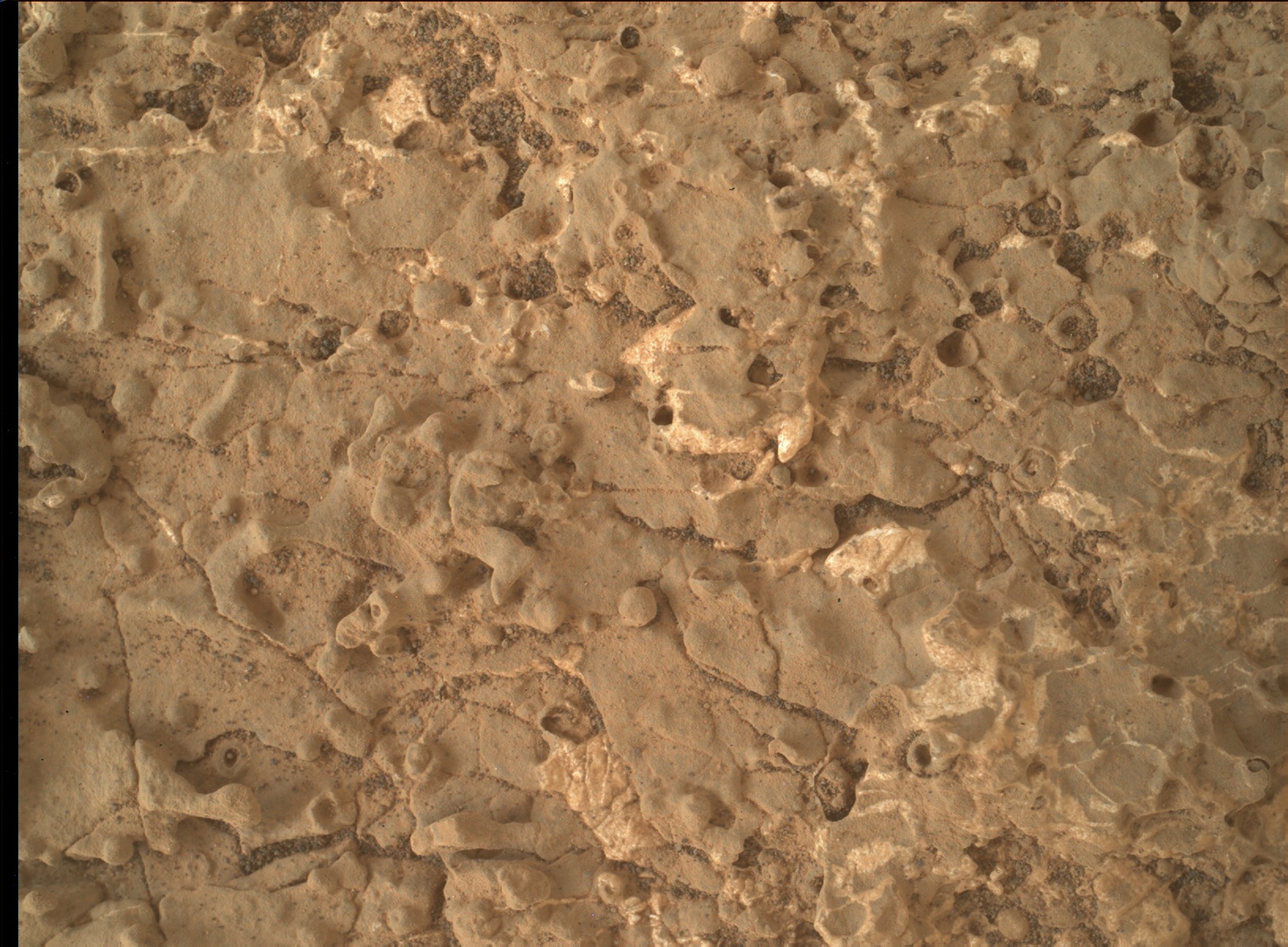 Nasa's Mars rover Curiosity acquired this image using its Mars Hand Lens Imager (MAHLI) on Sol 2660