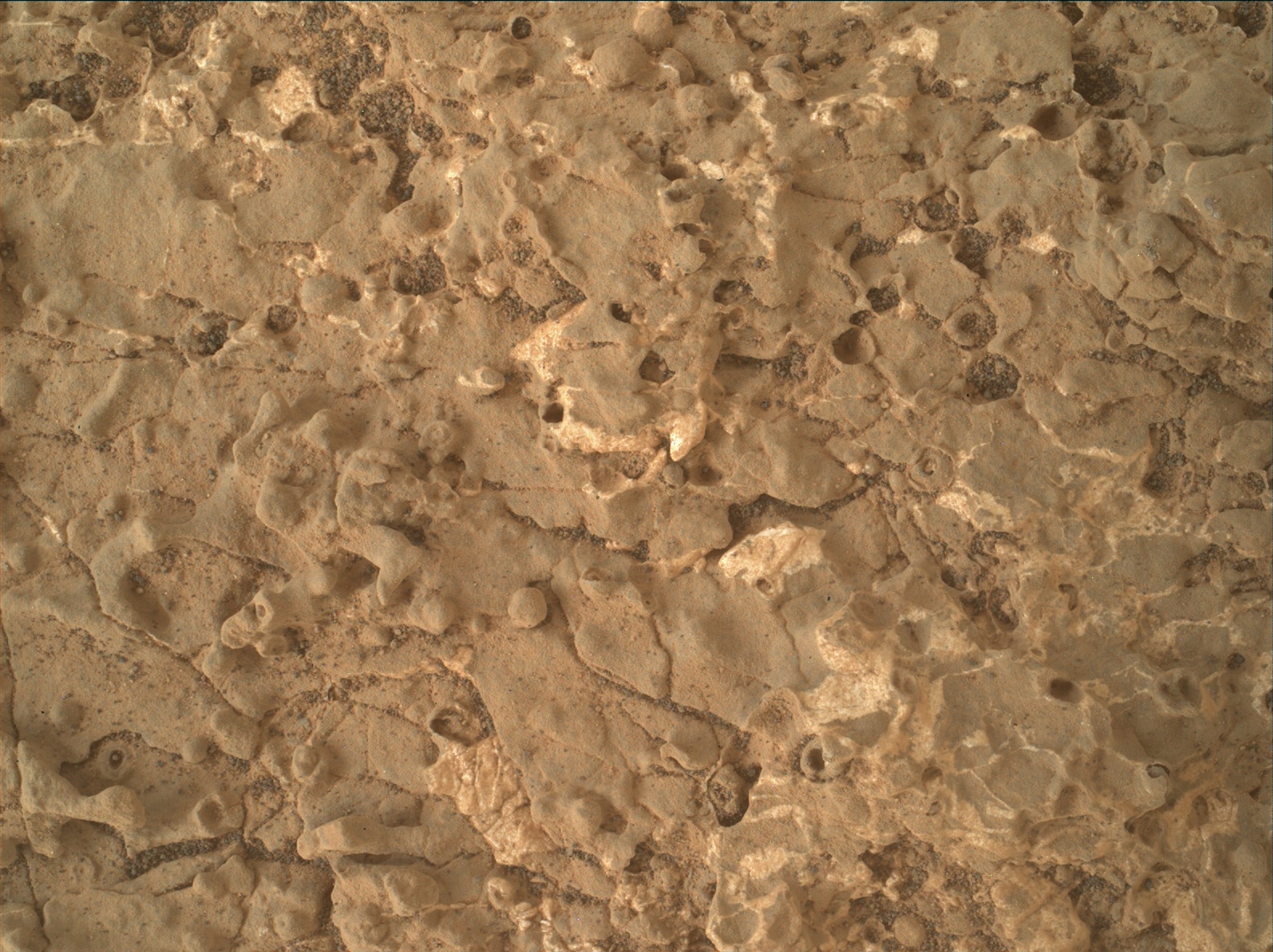 Nasa's Mars rover Curiosity acquired this image using its Mars Hand Lens Imager (MAHLI) on Sol 2661