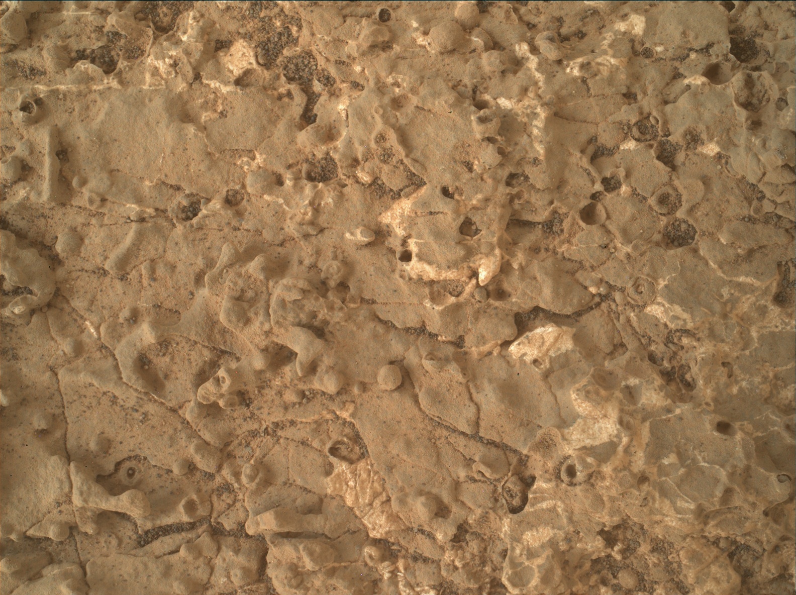 Nasa's Mars rover Curiosity acquired this image using its Mars Hand Lens Imager (MAHLI) on Sol 2661