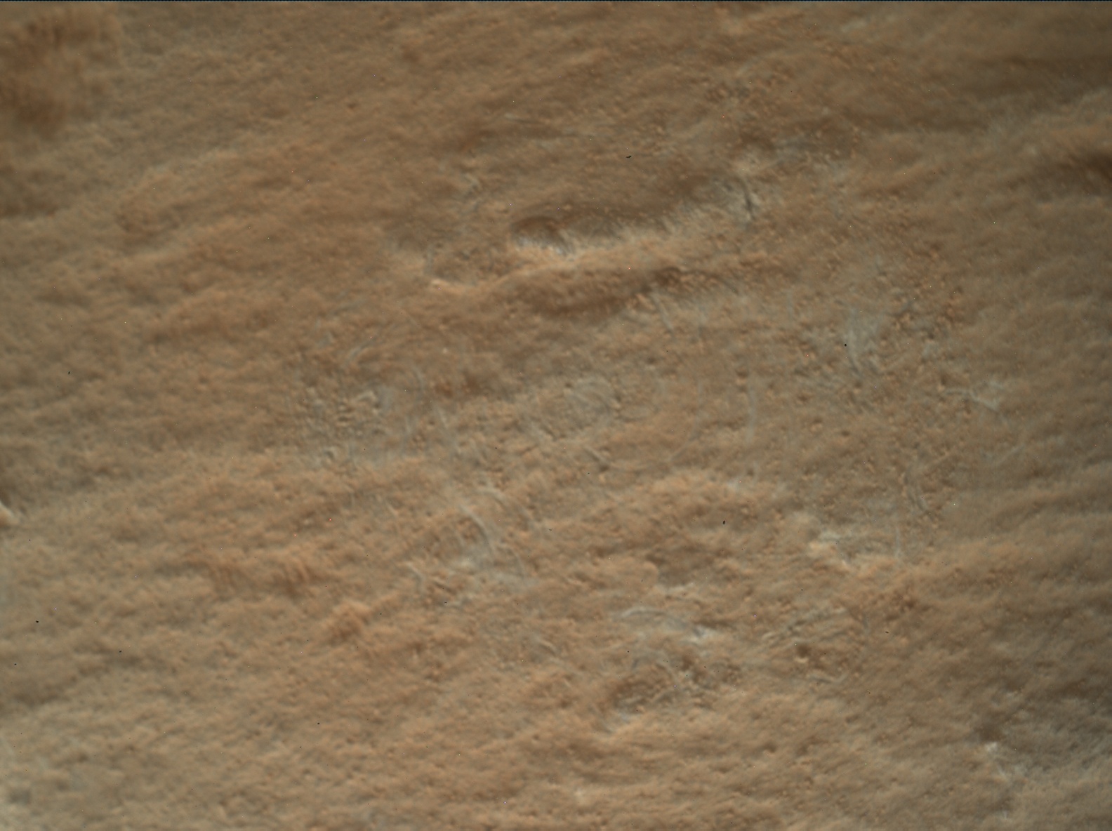 Nasa's Mars rover Curiosity acquired this image using its Mars Hand Lens Imager (MAHLI) on Sol 2662
