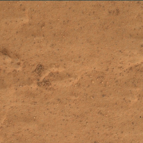 Nasa's Mars rover Curiosity acquired this image using its Mars Hand Lens Imager (MAHLI) on Sol 2665