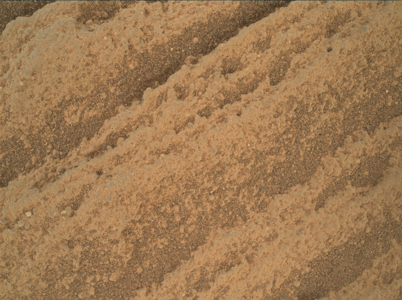 Nasa's Mars rover Curiosity acquired this image using its Mars Hand Lens Imager (MAHLI) on Sol 2698