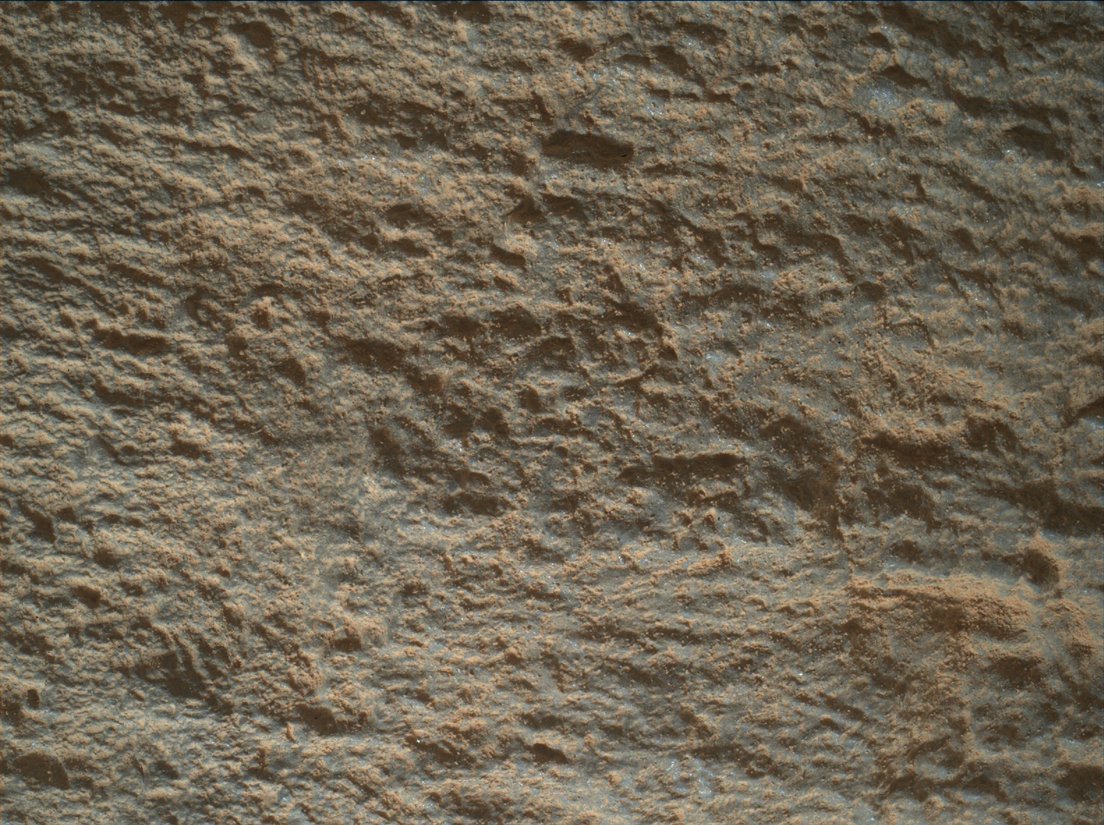 Nasa's Mars rover Curiosity acquired this image using its Mars Hand Lens Imager (MAHLI) on Sol 2700