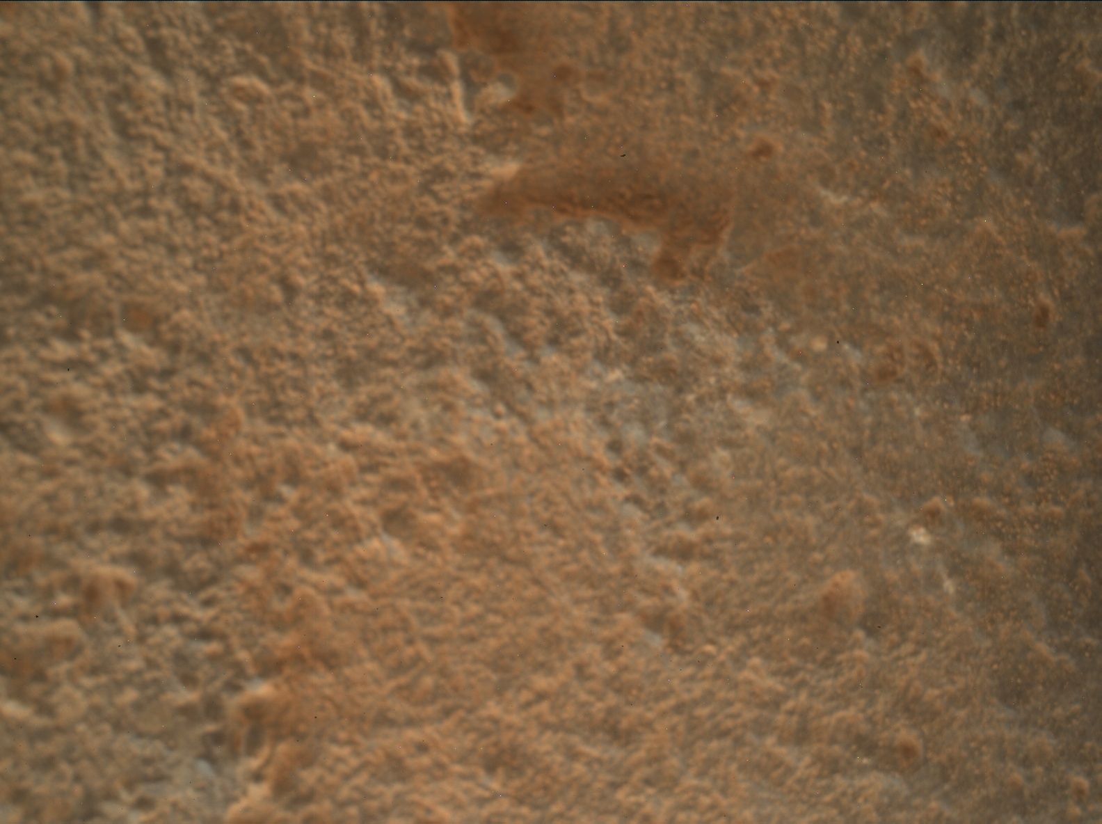 Nasa's Mars rover Curiosity acquired this image using its Mars Hand Lens Imager (MAHLI) on Sol 2706