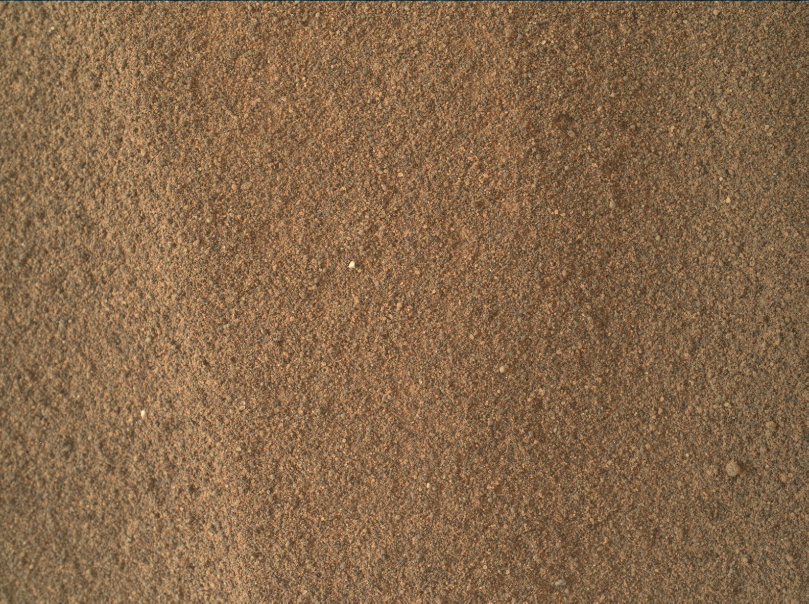 Nasa's Mars rover Curiosity acquired this image using its Mars Hand Lens Imager (MAHLI) on Sol 2731