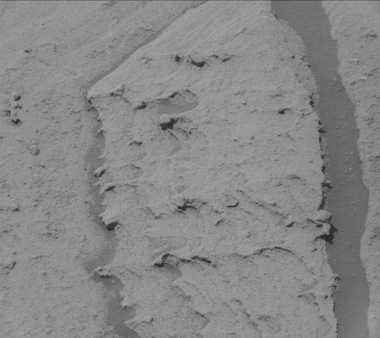 Nasa's Mars rover Curiosity acquired this image using its Mast Camera (Mastcam) on Sol 2733