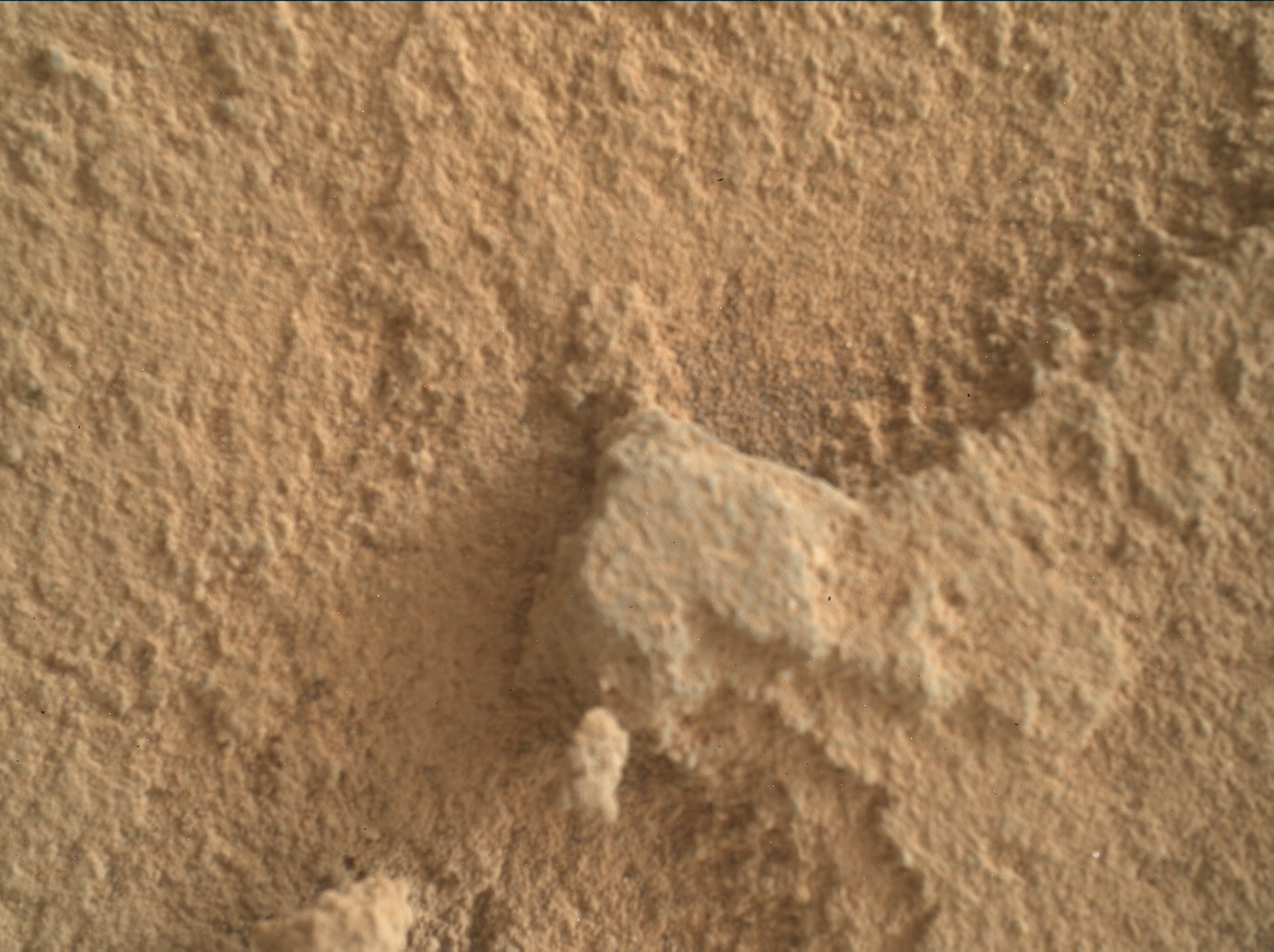 Nasa's Mars rover Curiosity acquired this image using its Mars Hand Lens Imager (MAHLI) on Sol 2733