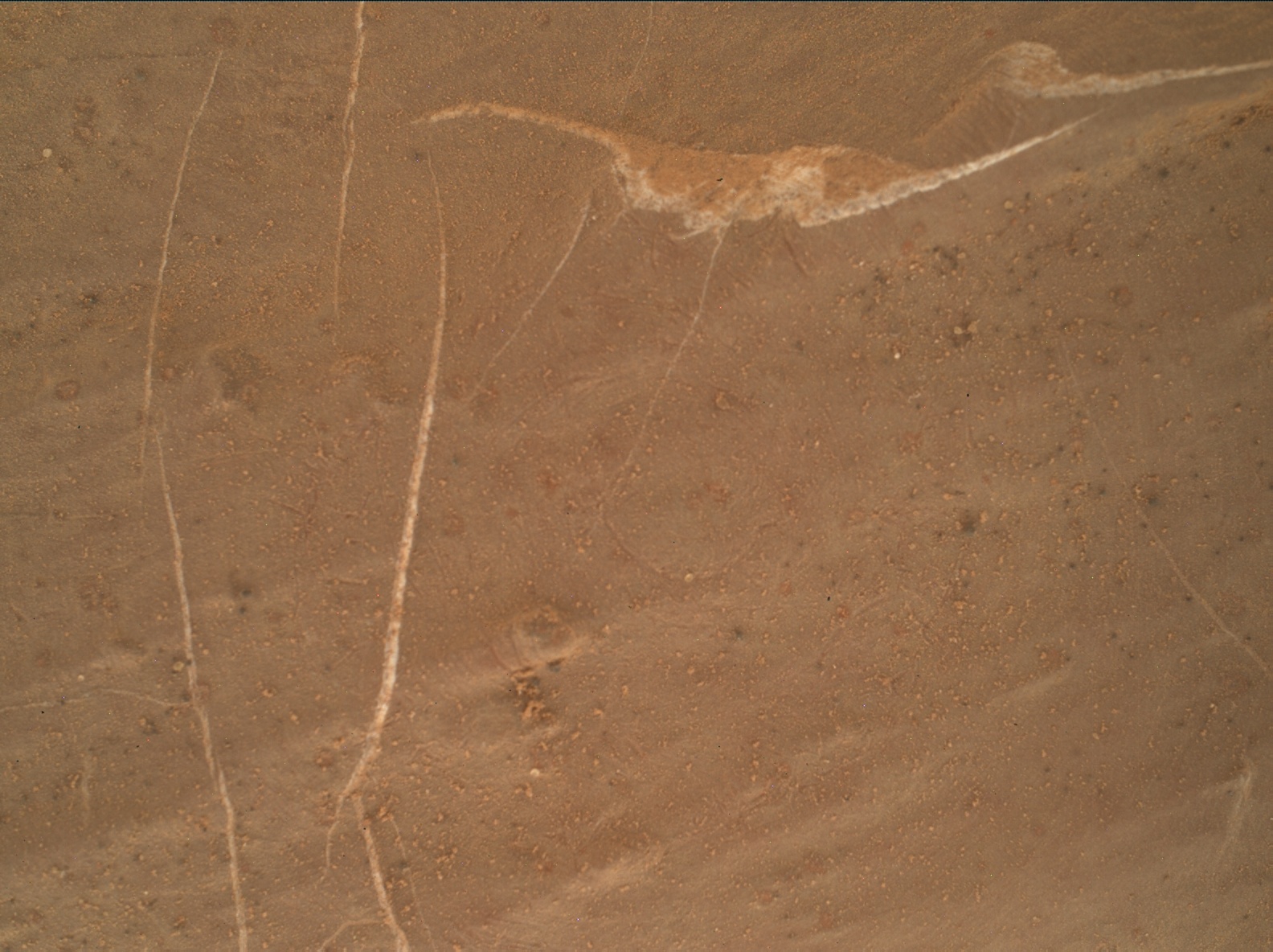 Nasa's Mars rover Curiosity acquired this image using its Mars Hand Lens Imager (MAHLI) on Sol 2745