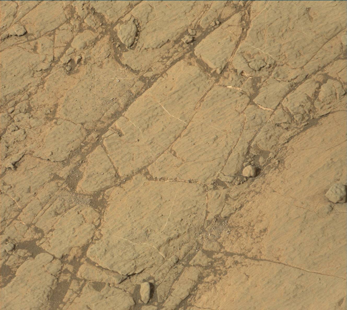 Nasa's Mars rover Curiosity acquired this image using its Mast Camera (Mastcam) on Sol 2772