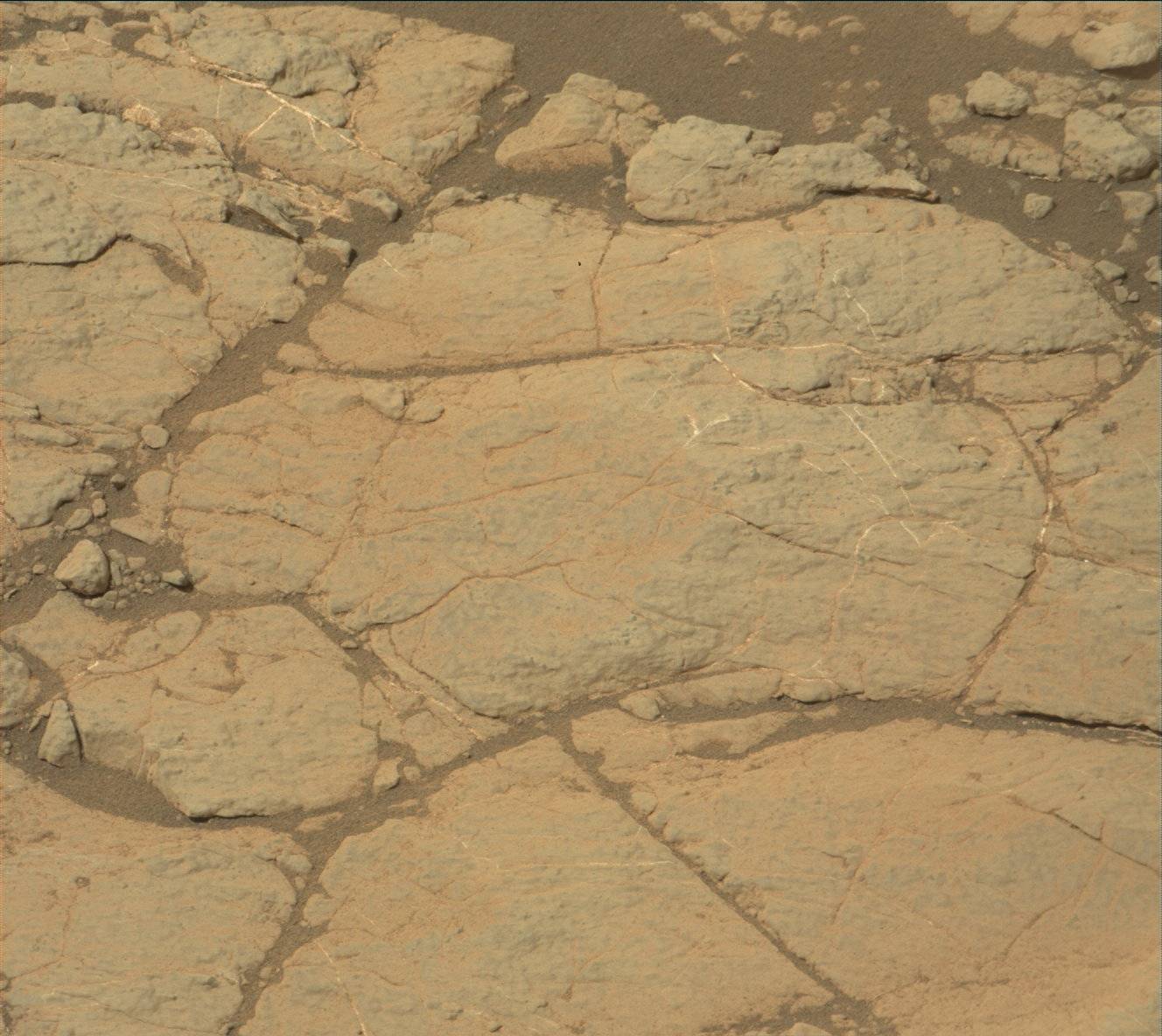 Nasa's Mars rover Curiosity acquired this image using its Mast Camera (Mastcam) on Sol 2773